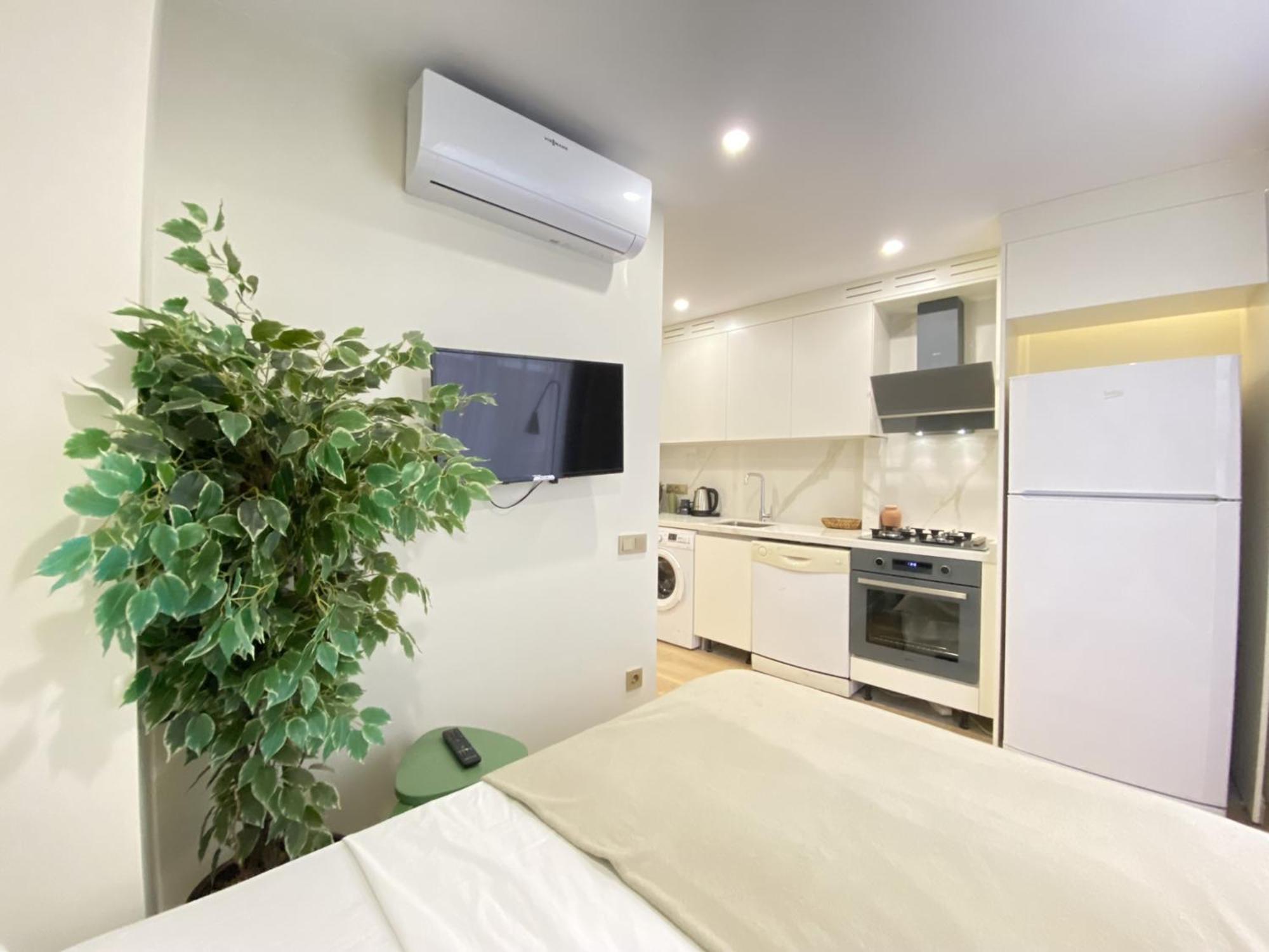Stylish Studio with Golden Horn Charm