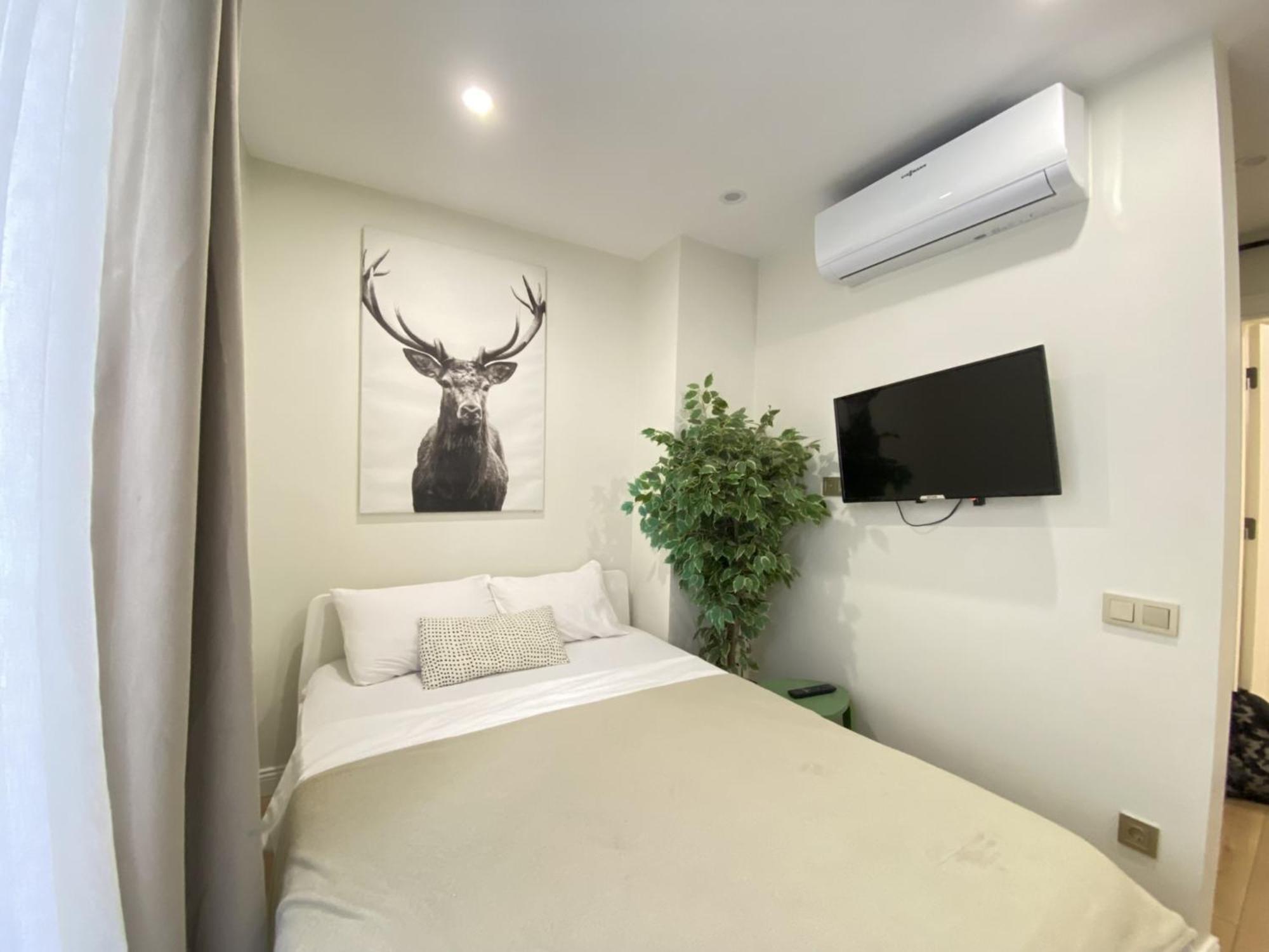Stylish Studio with Golden Horn Charm