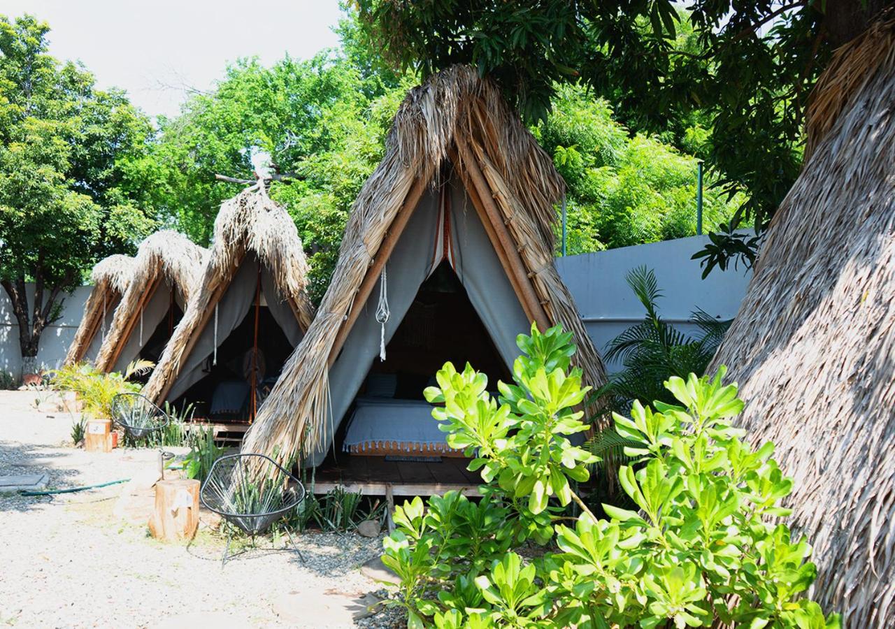 Tribu Tipis & Surf