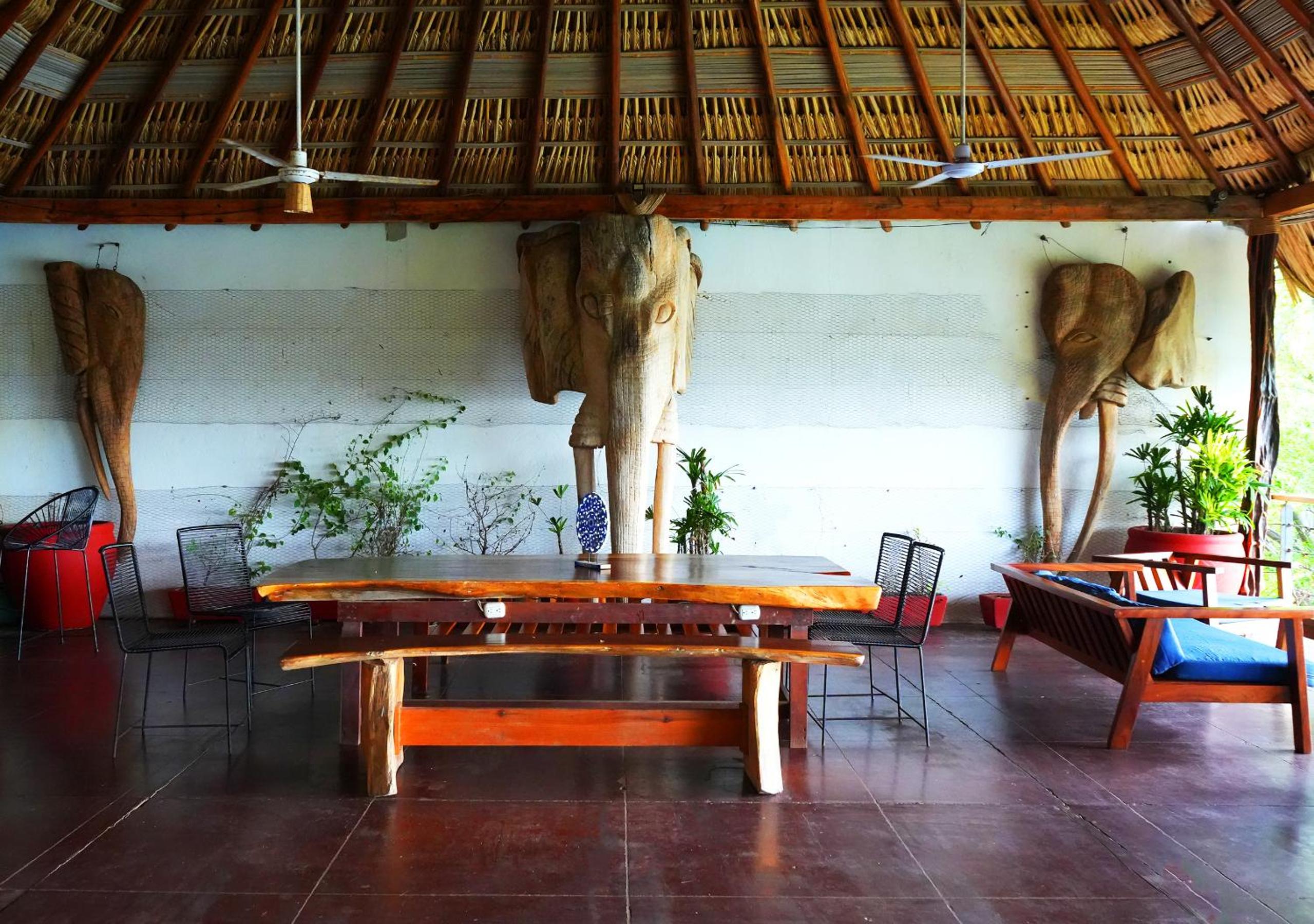 Tribu Tipis & Surf