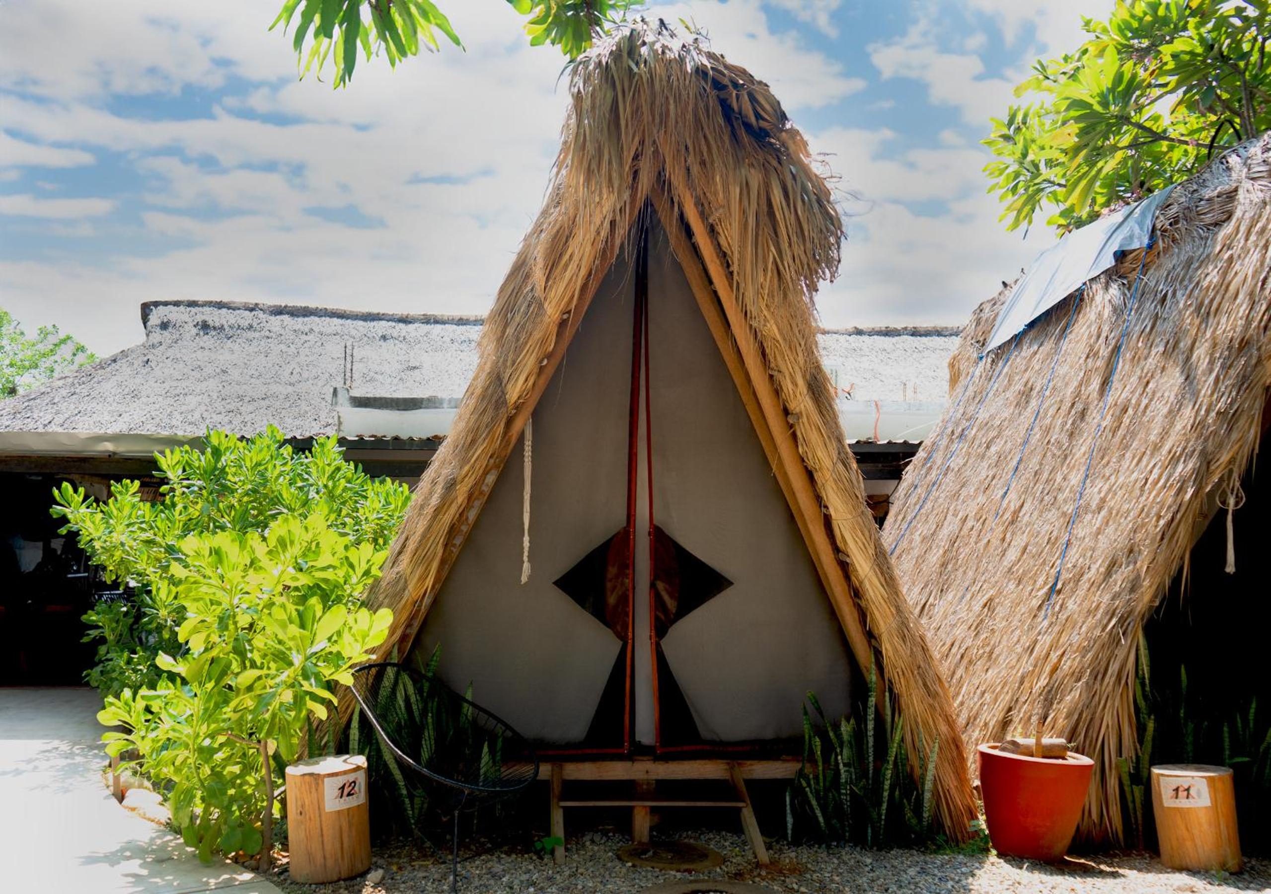 Tribu Tipis & Surf