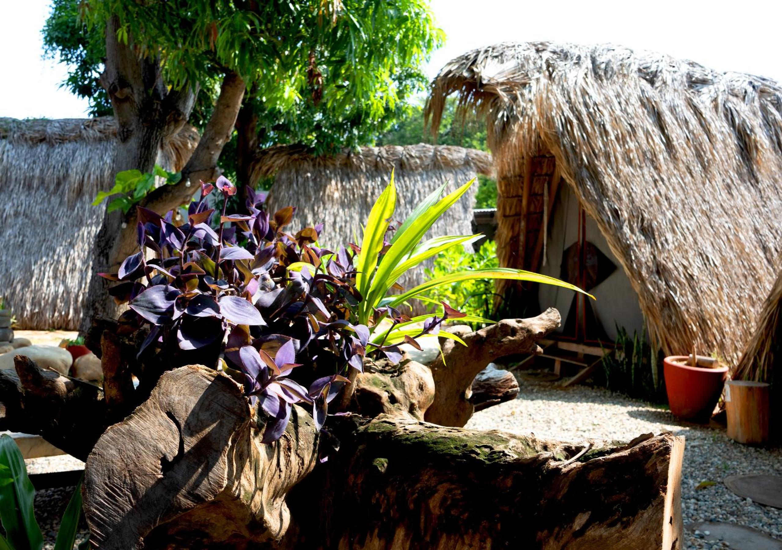 Tribu Tipis & Surf