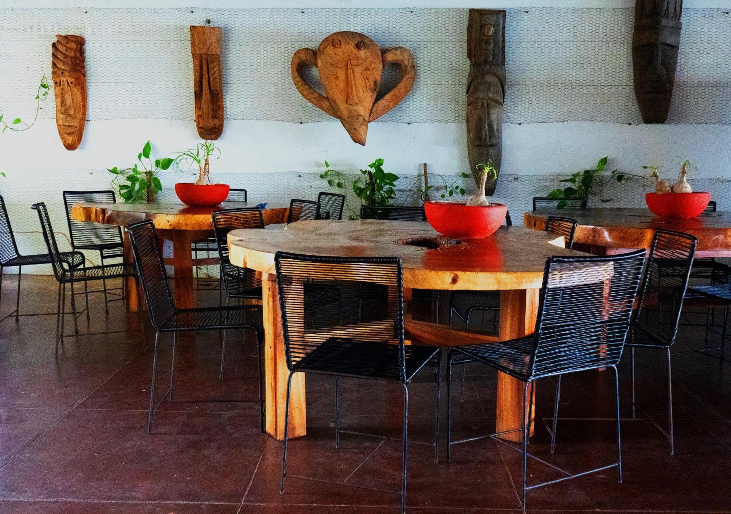 Tribu Tipis & Surf