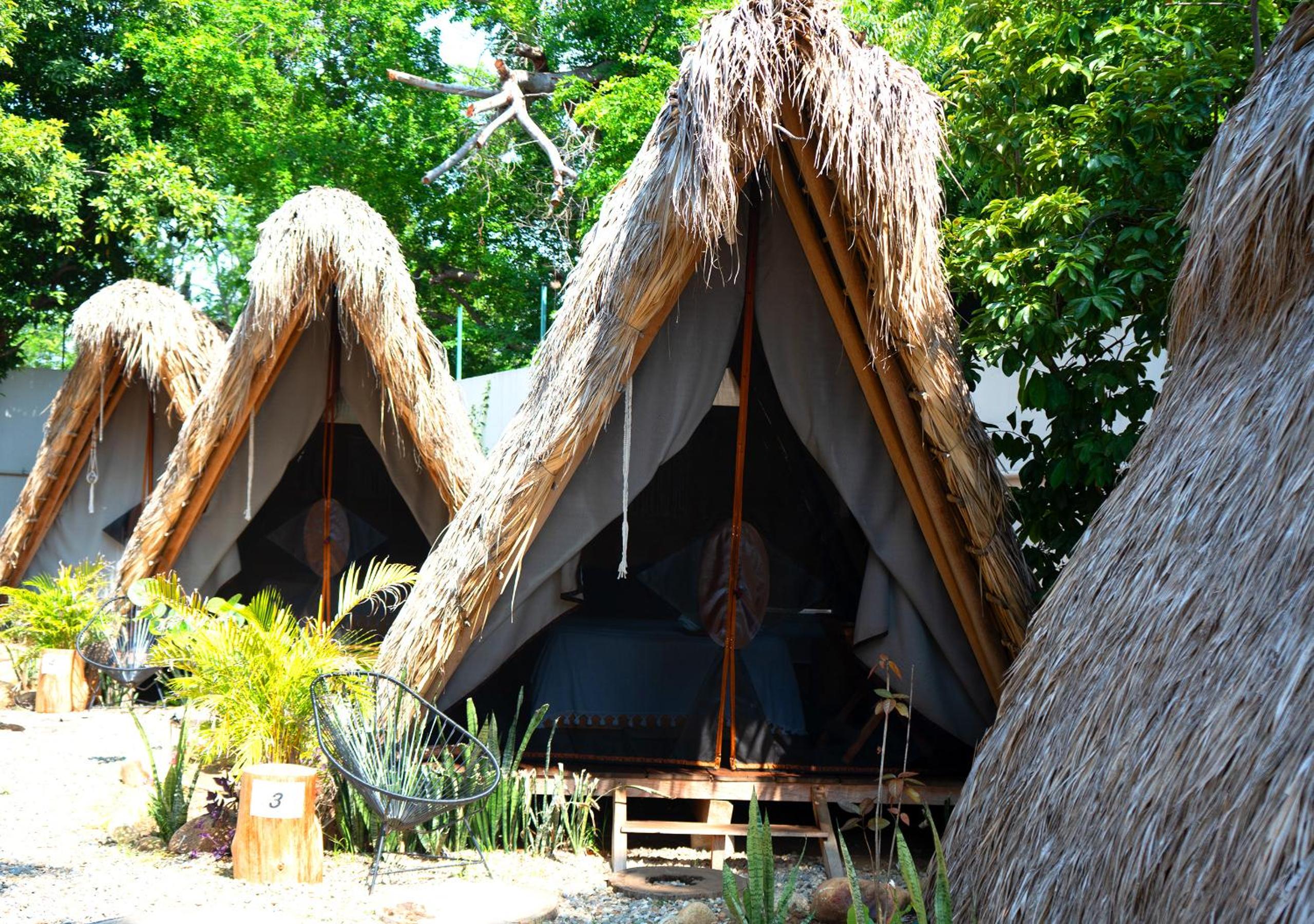Tribu Tipis & Surf