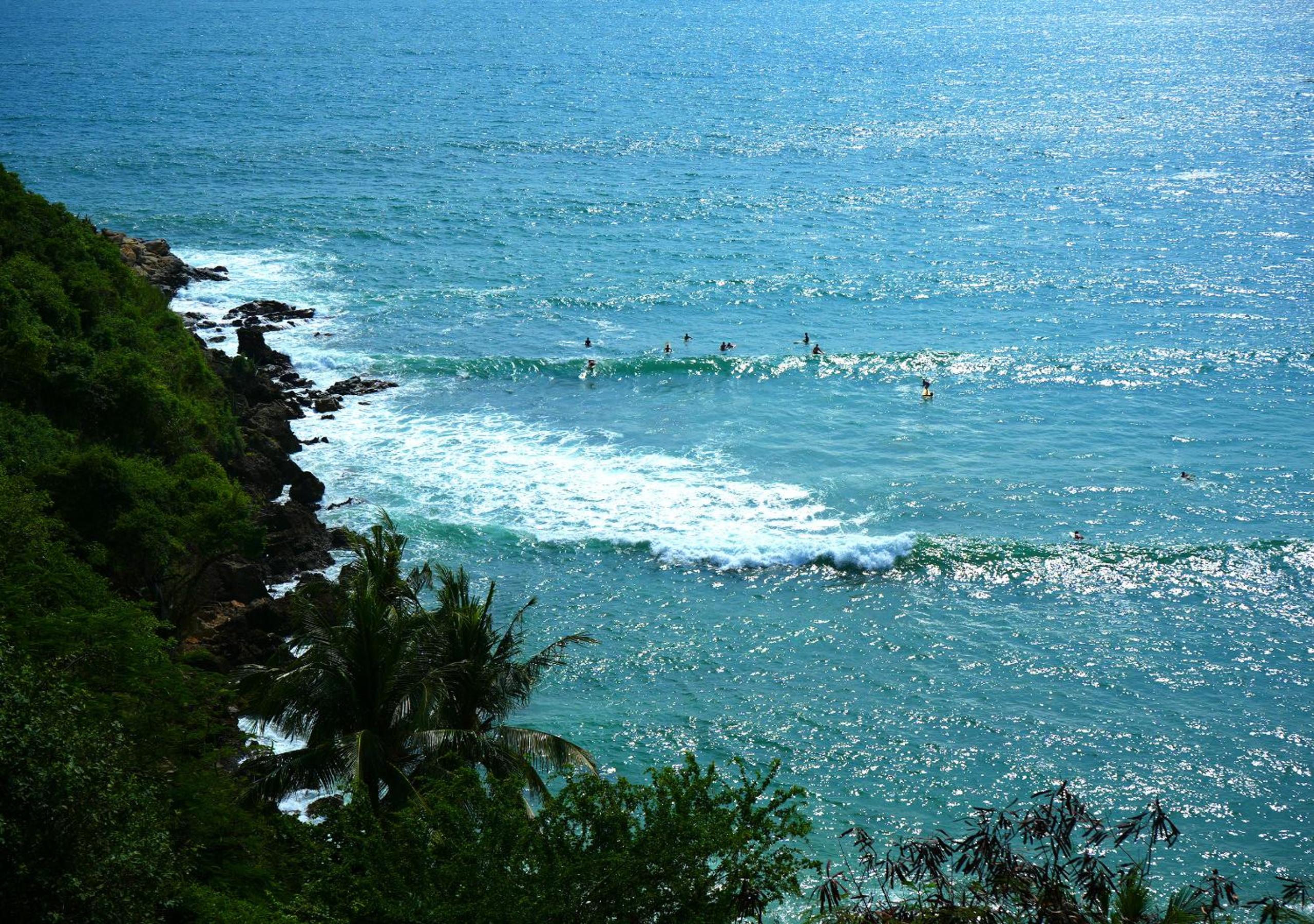 Tribu Tipis & Surf