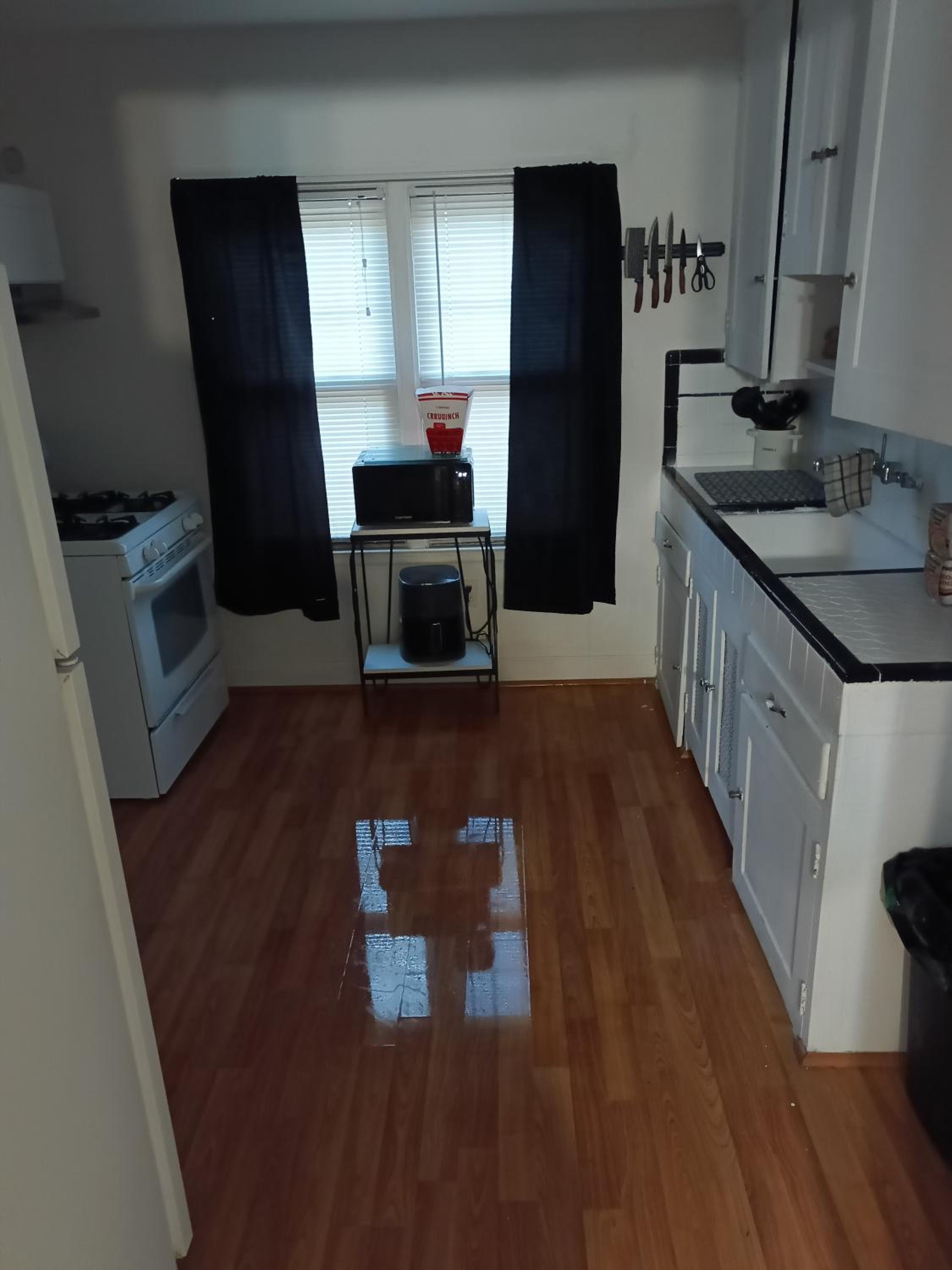 Family Friendly Upper Flat Minutes from Downtown, LCA & Ford Field