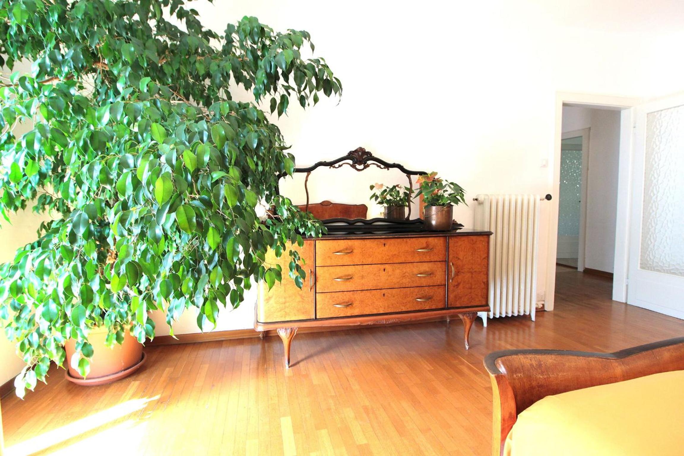 Casa Ines, Feltre
