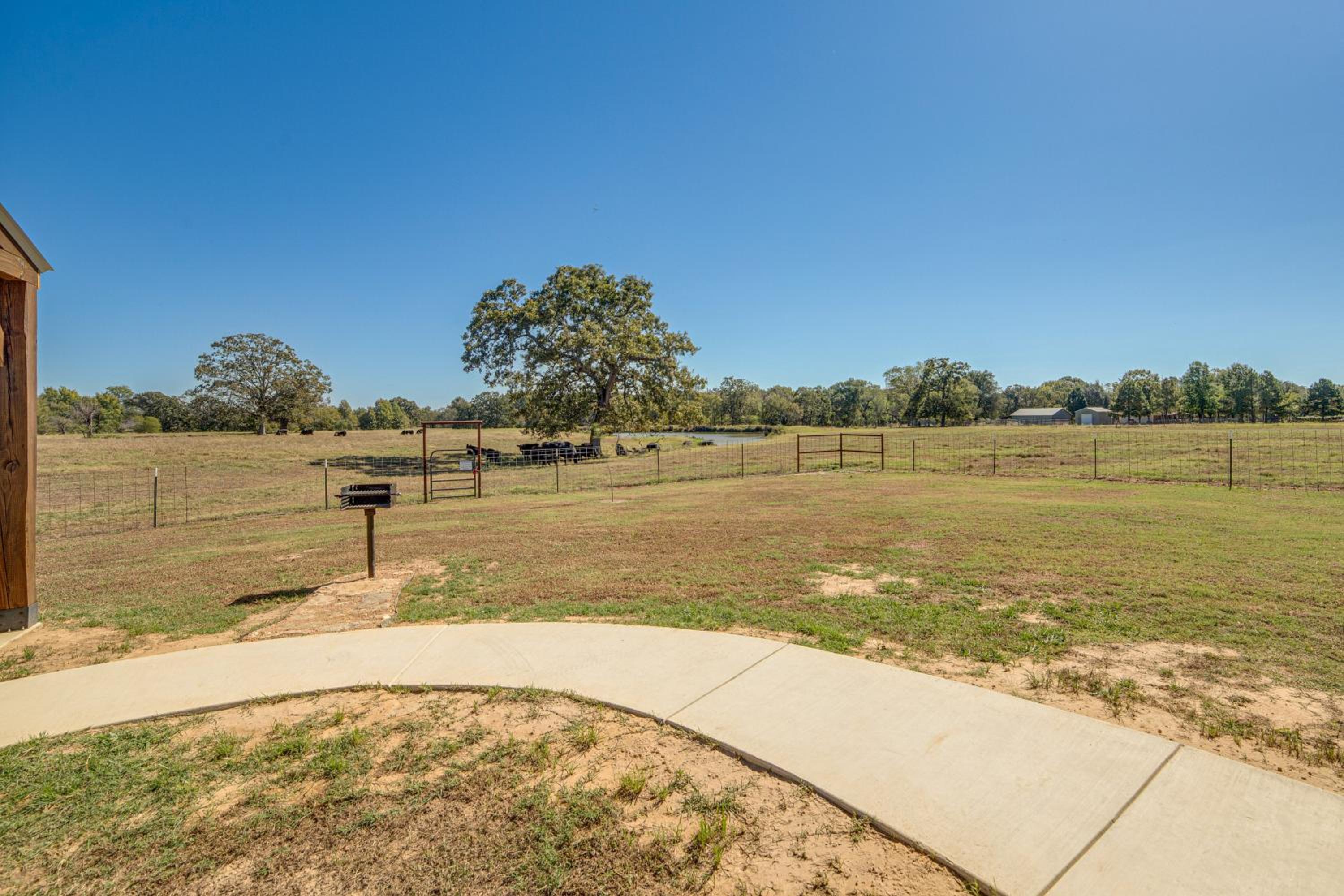 Pond and Grazing Cattle! Rural Getaway Near Van