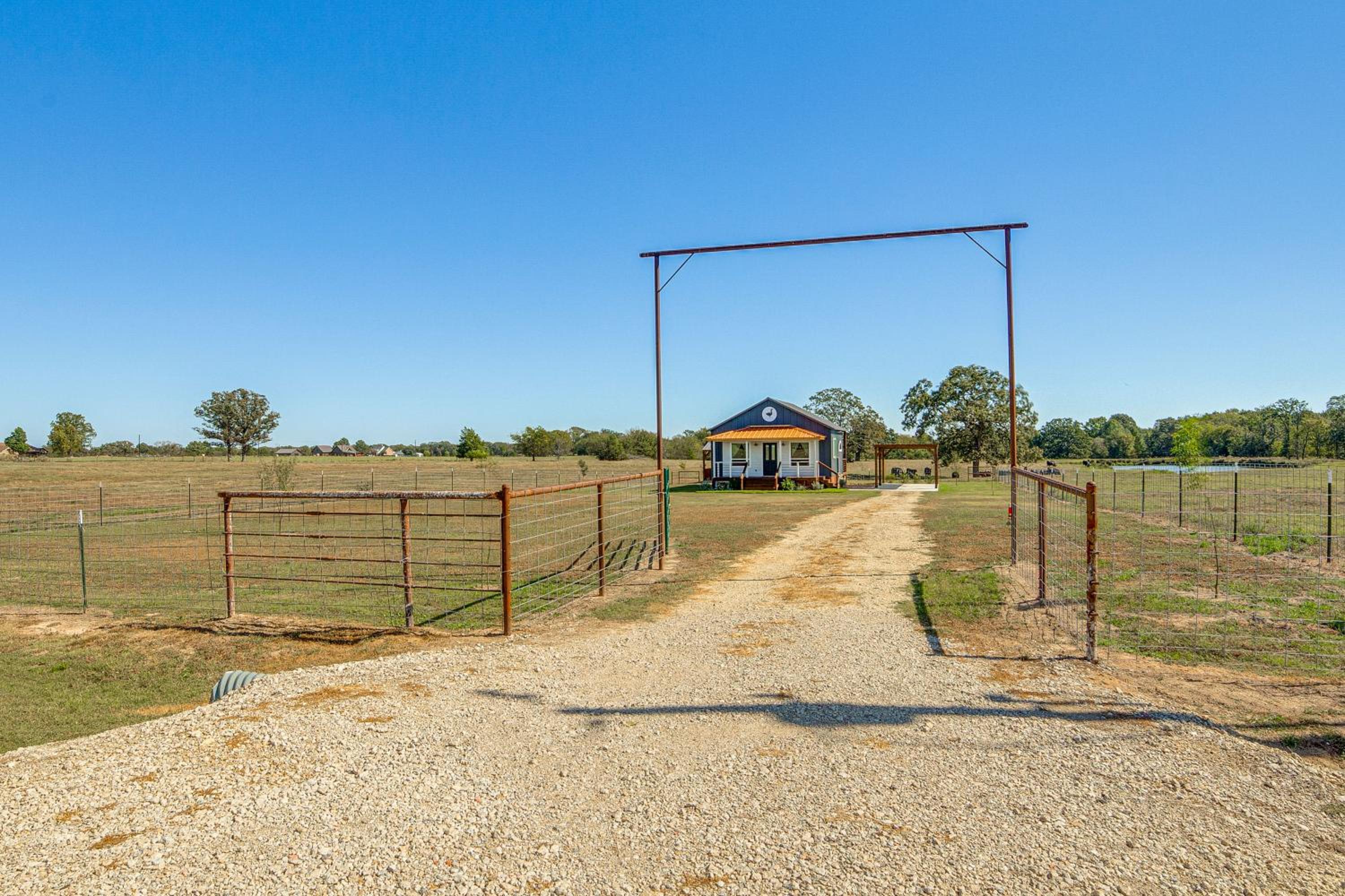 Pond and Grazing Cattle! Rural Getaway Near Van