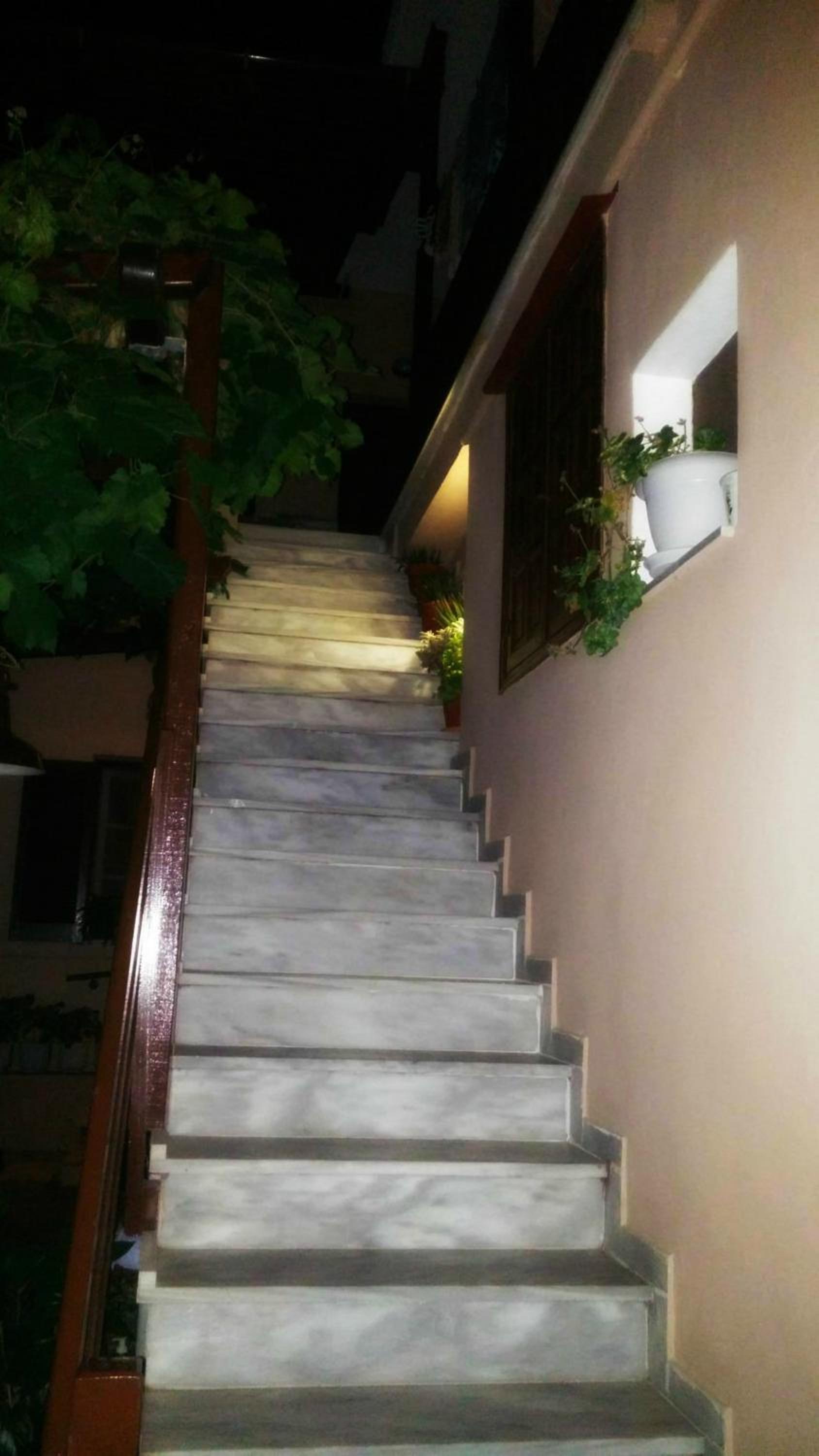 Photo 31