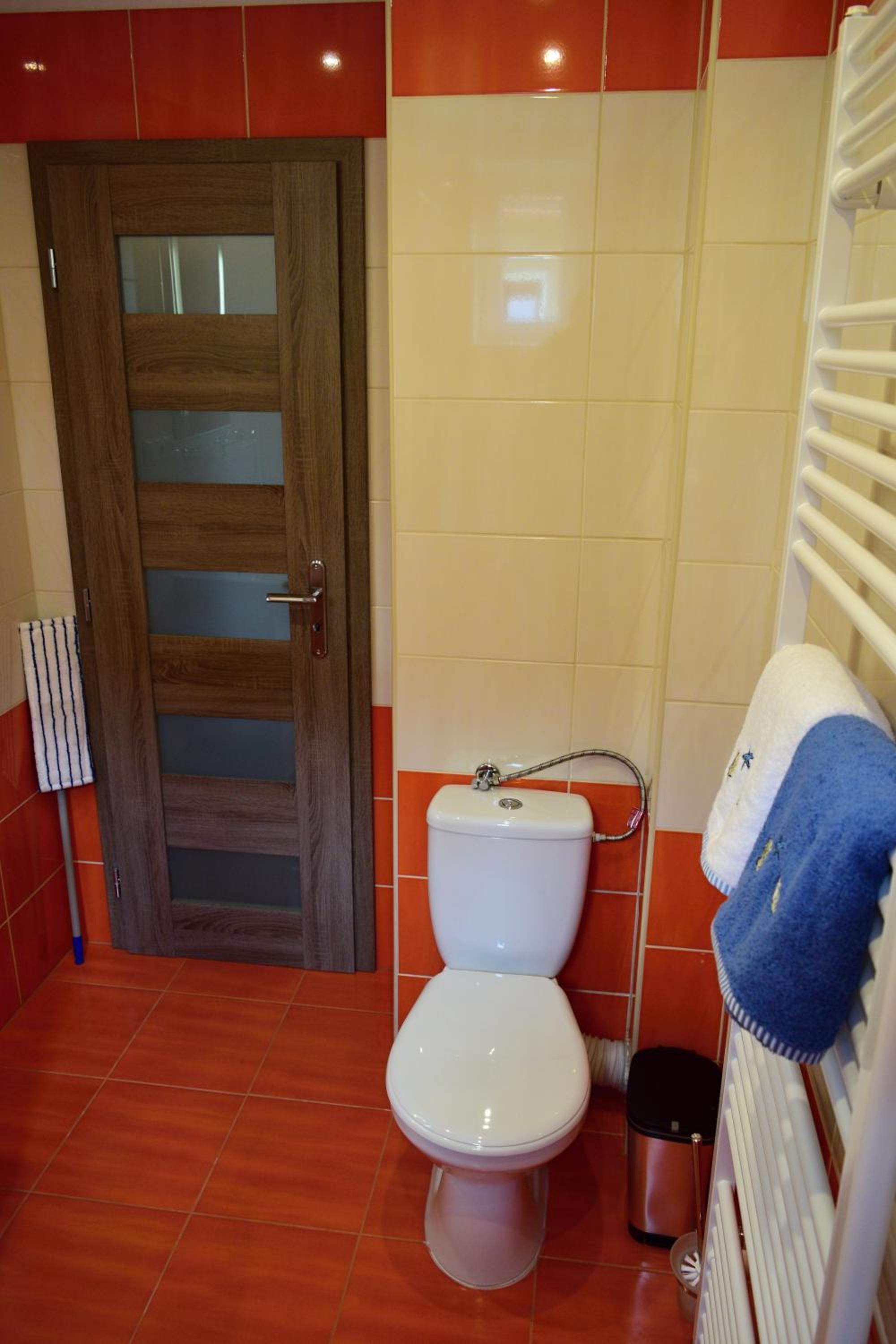 Photo 50
