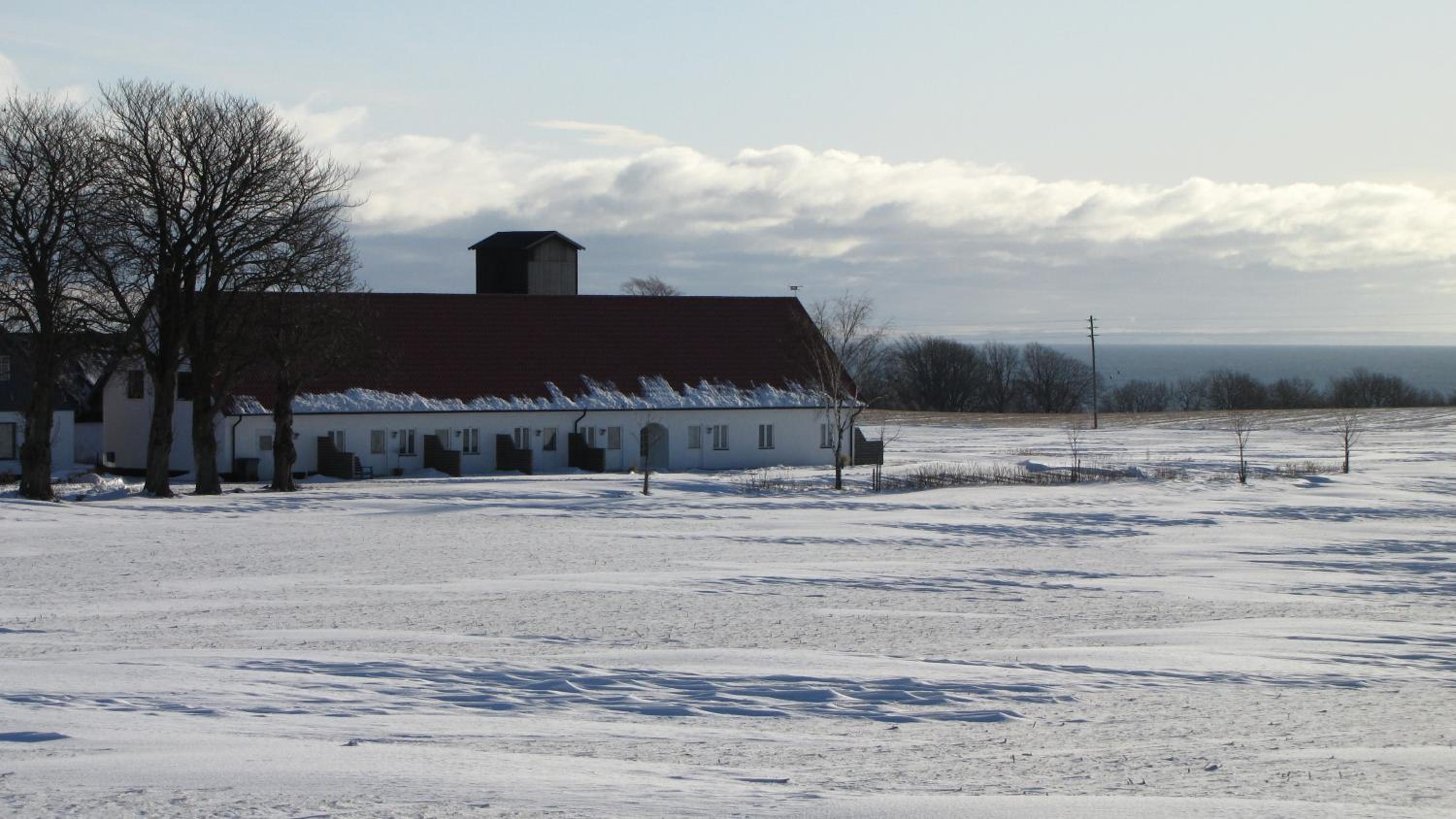Photo 40
