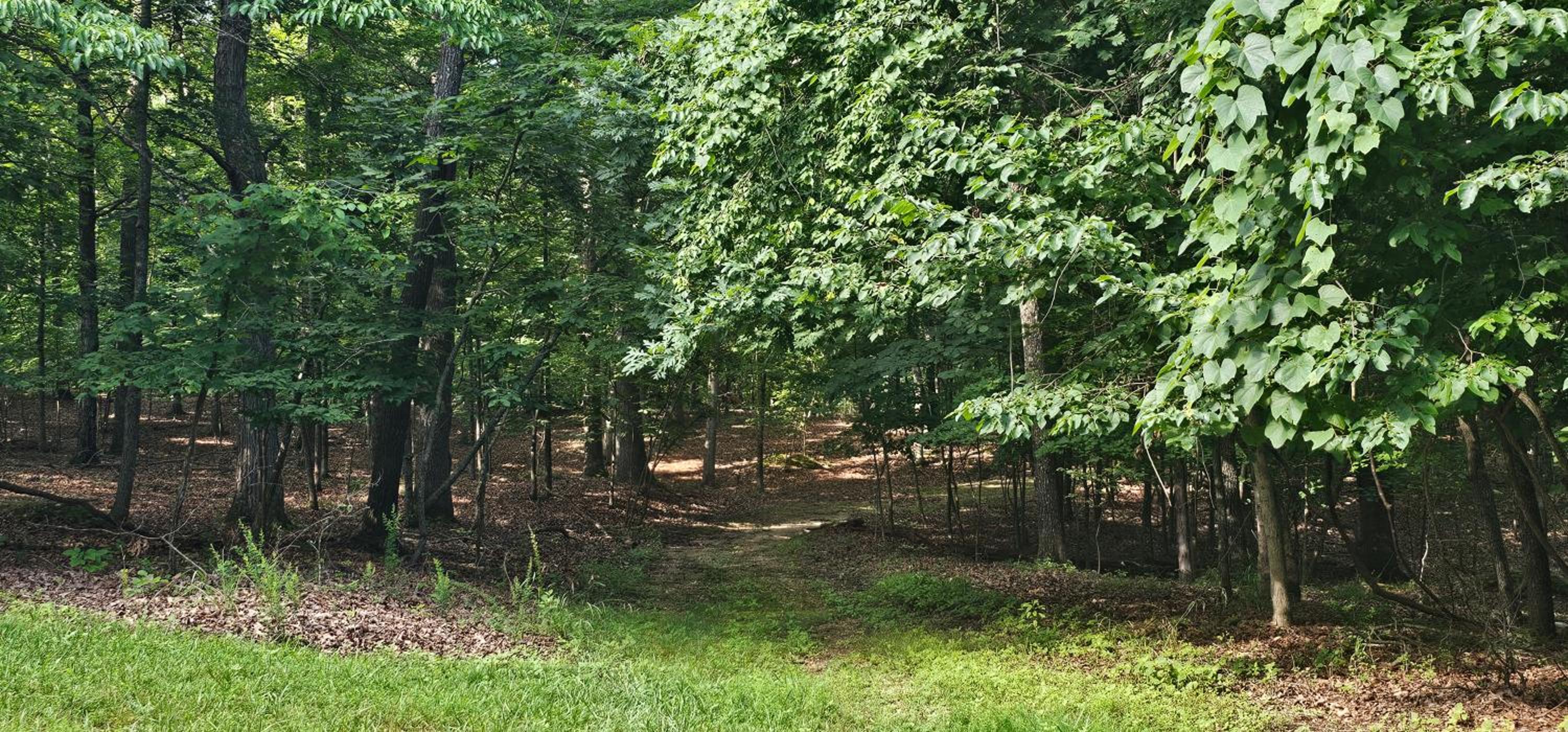 17 Lakefront Acres, Private Dock, Firepit, Pool Table, Kayaks, Fishing