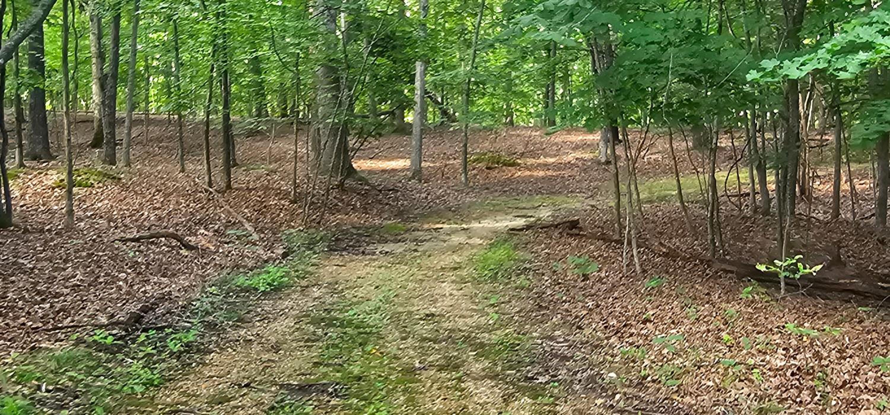 17 Lakefront Acres, Private Dock, Firepit, Pool Table, Kayaks, Fishing