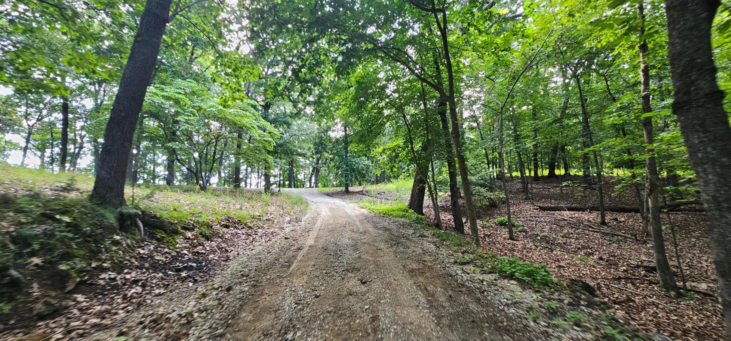 17 Lakefront Acres, Private Dock, Firepit, Pool Table, Kayaks, Fishing