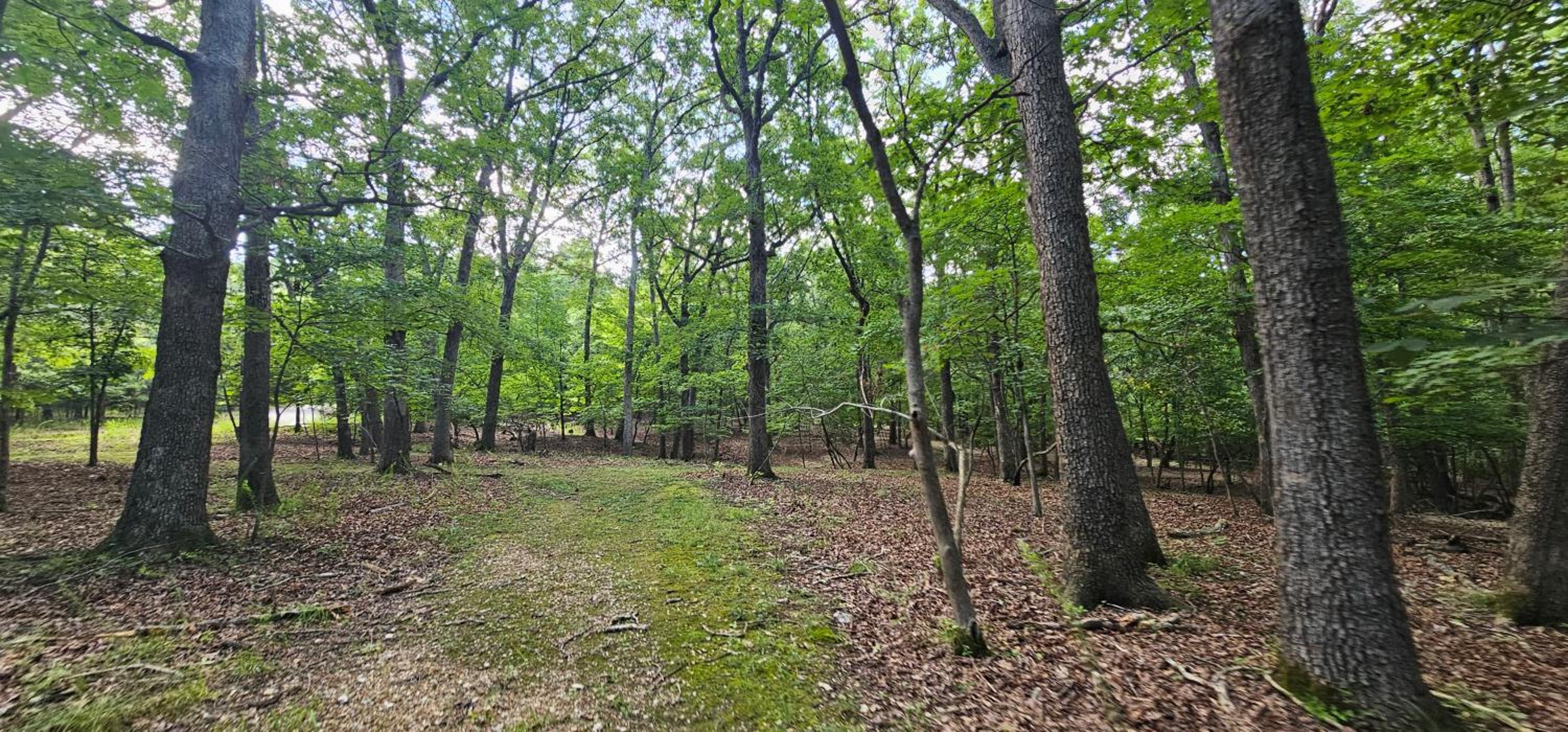 17 Lakefront Acres, Private Dock, Firepit, Pool Table, Kayaks, Fishing