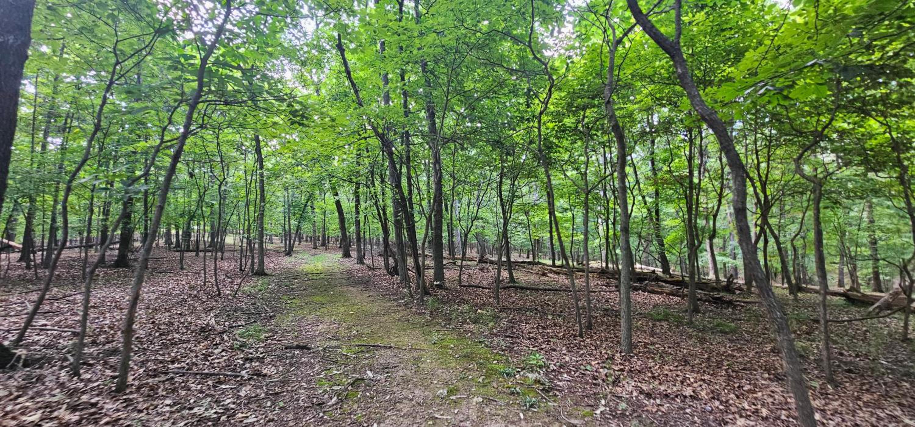 17 Lakefront Acres, Private Dock, Firepit, Pool Table, Kayaks, Fishing