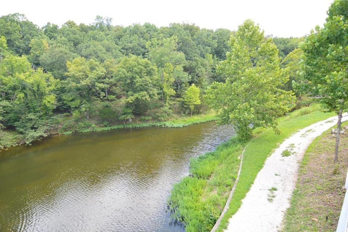 Newly Updated in a Private Cove, with Firepit, Flat Lawn, Dock, Boat Slip & Kayaks in Osage Beach