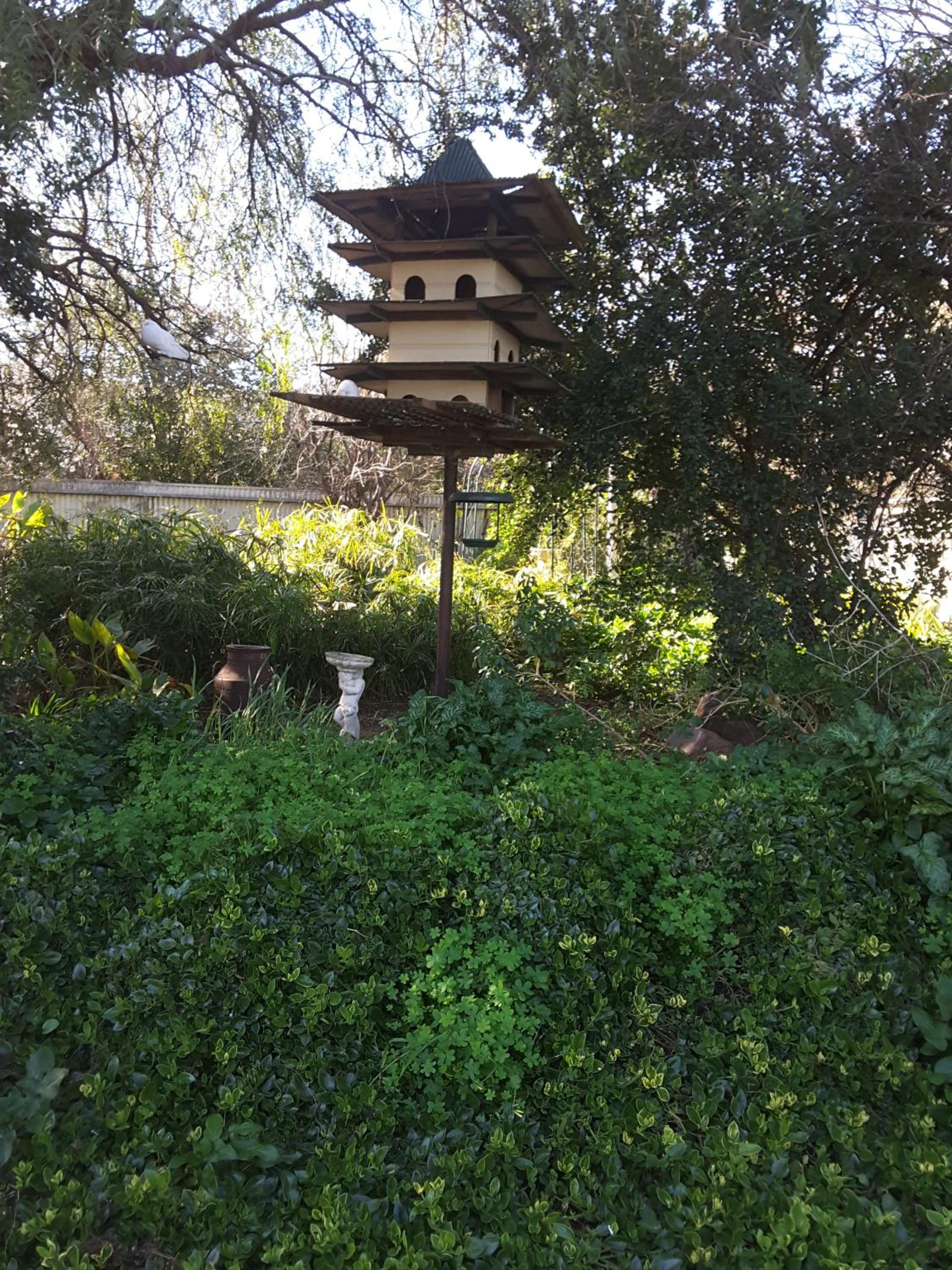 The Dove Cote