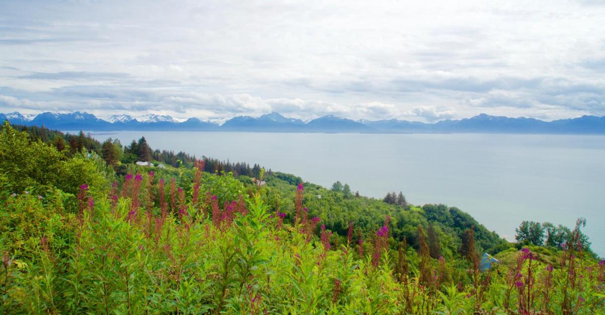 Homer Vacations - Brigitte's Bavarian Bed und Breakfast - Property Image 23