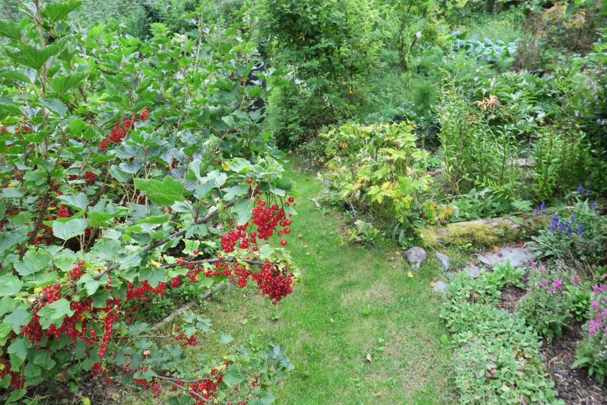 Homer Vacations - Brigitte's Bavarian Bed und Breakfast - Property Image 10