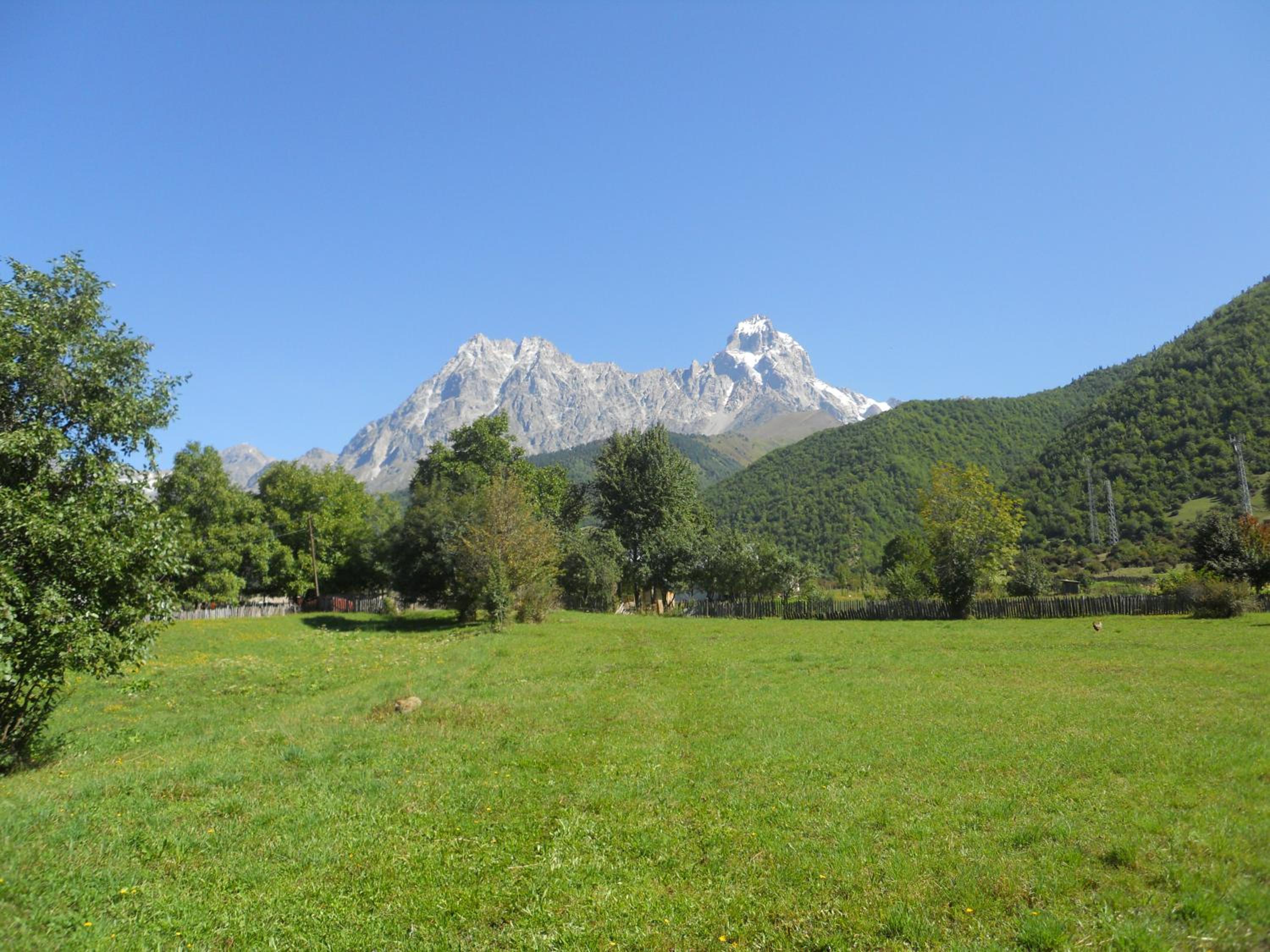 Photo 45
