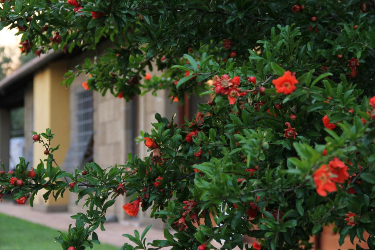 Photo 27