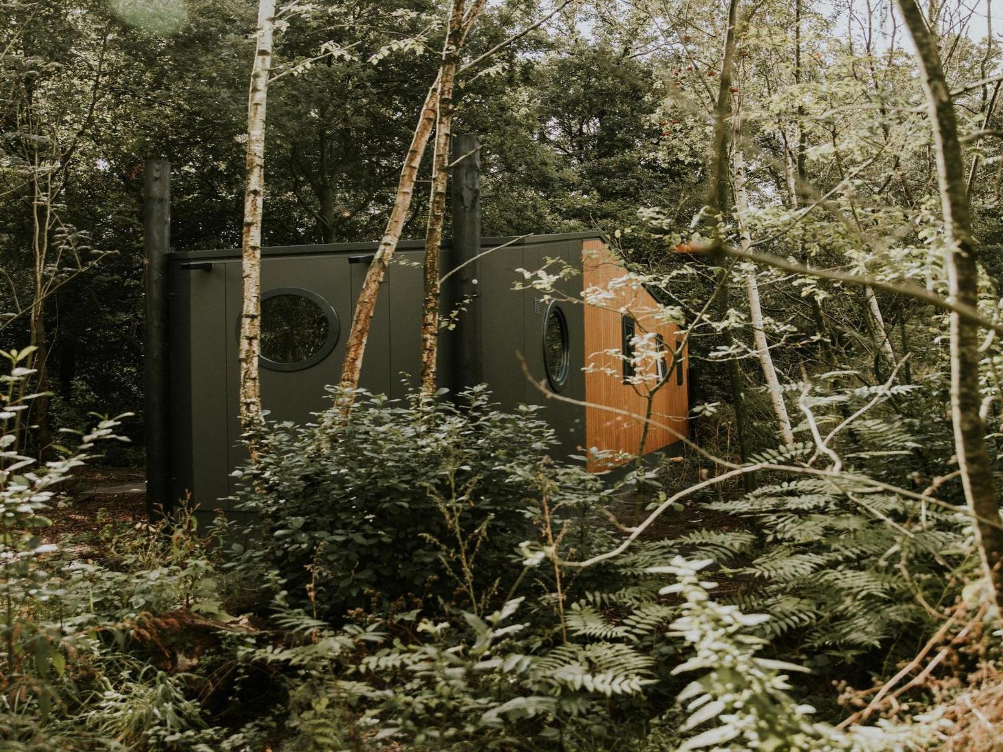 Charming 5-Person Bee Lodge in the Woods