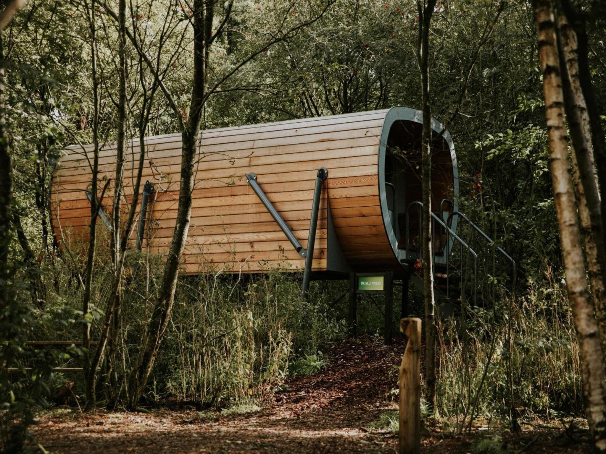 Cozy Treehouse Retreat in Overijssel