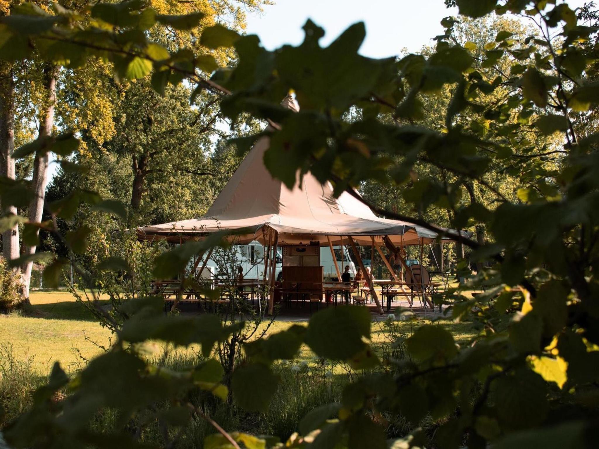 Cozy Treehouse Retreat in Overijssel