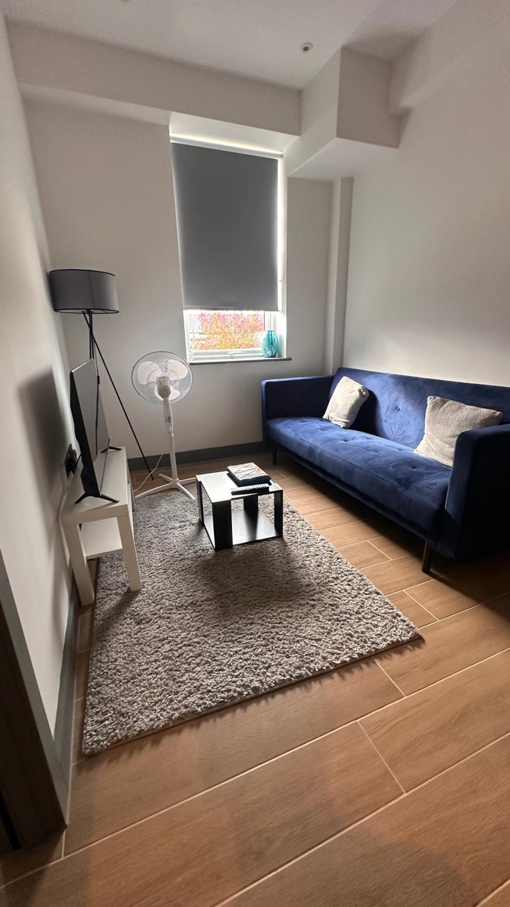 High Luxury London Stay 30 Mins to Camden & Central