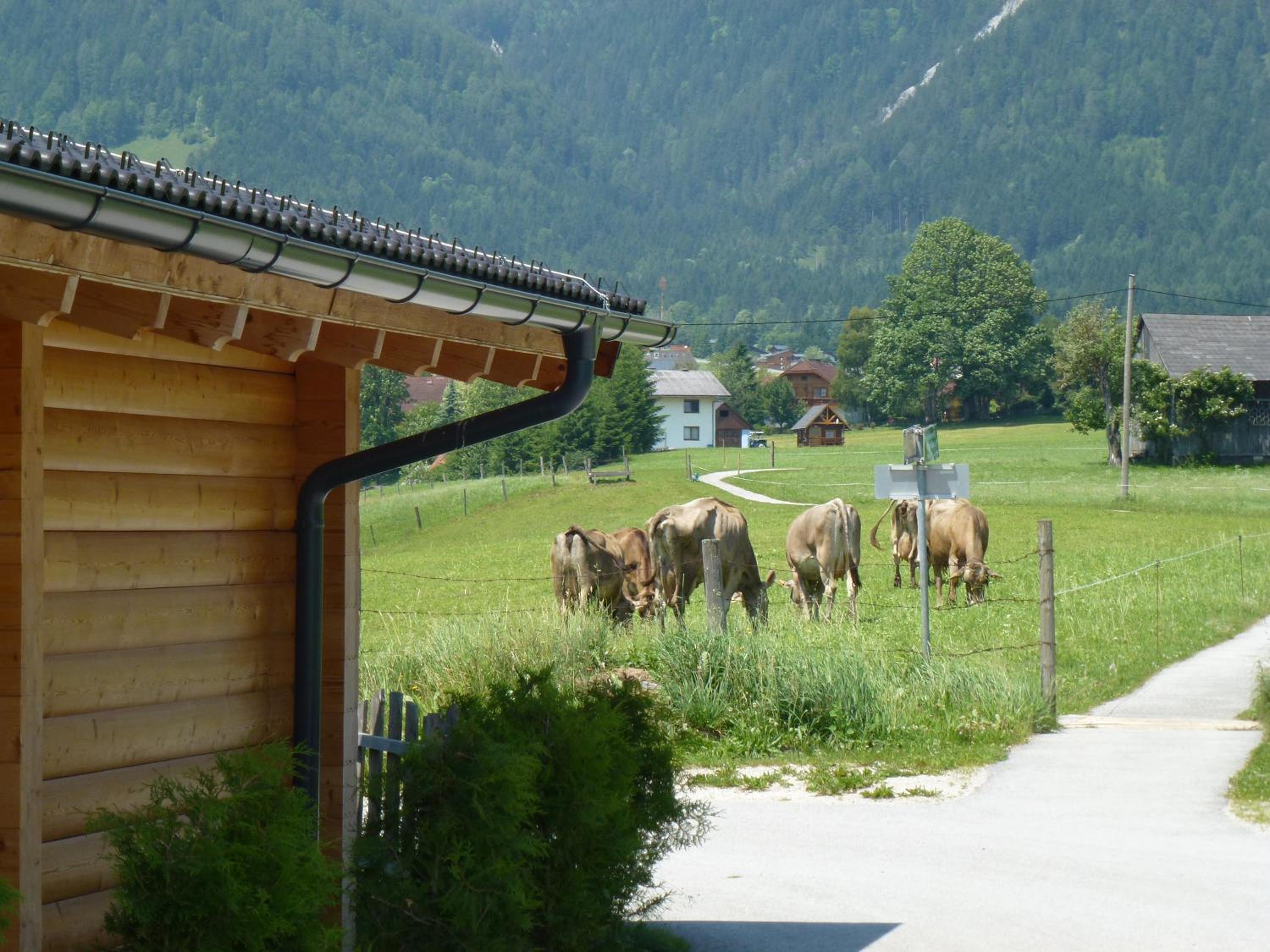 Almdorf im Winkl - Blockhüttendorf in Gröbming