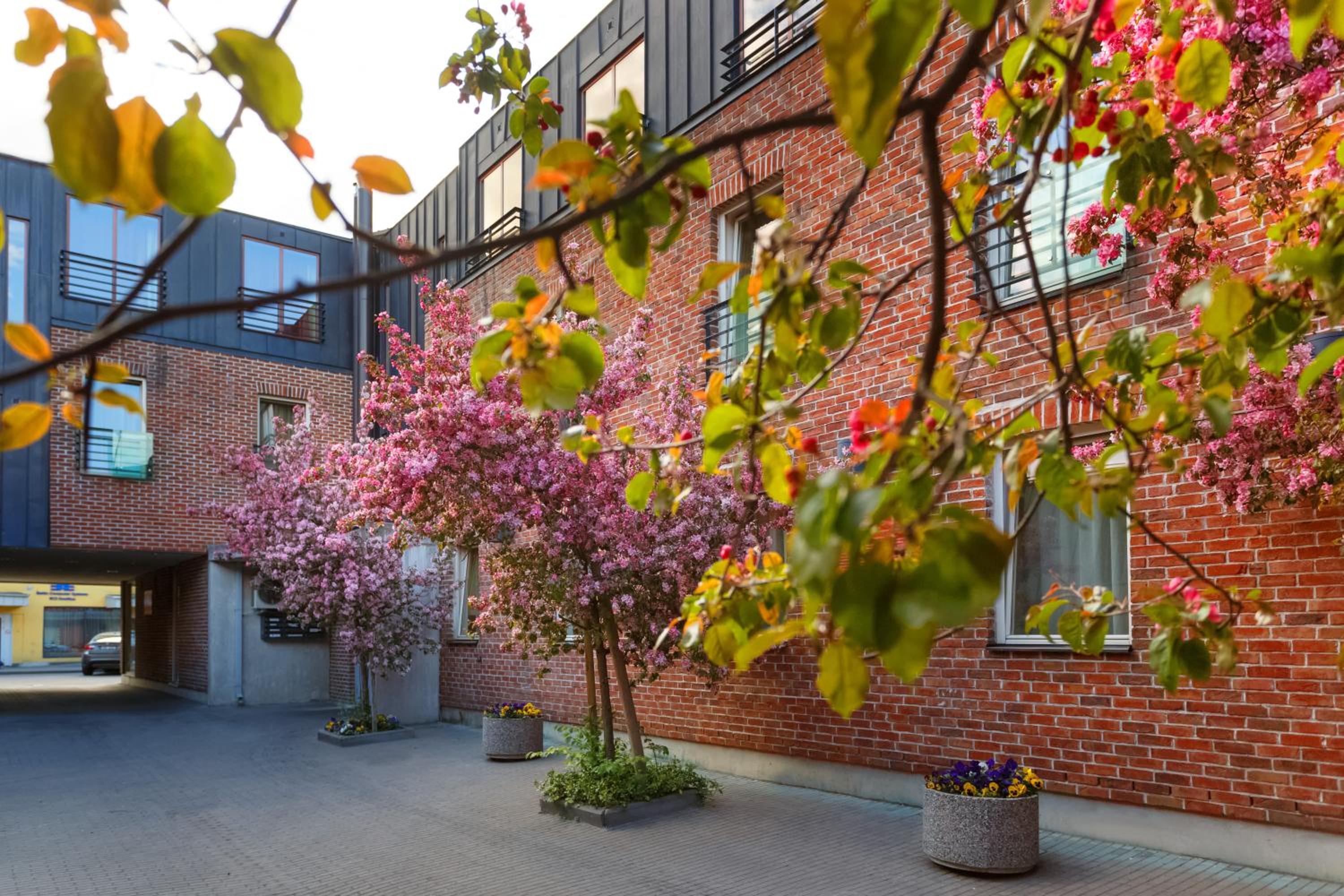 Tallinn Vacations - Bern Boutique Hotel - Property Image 65