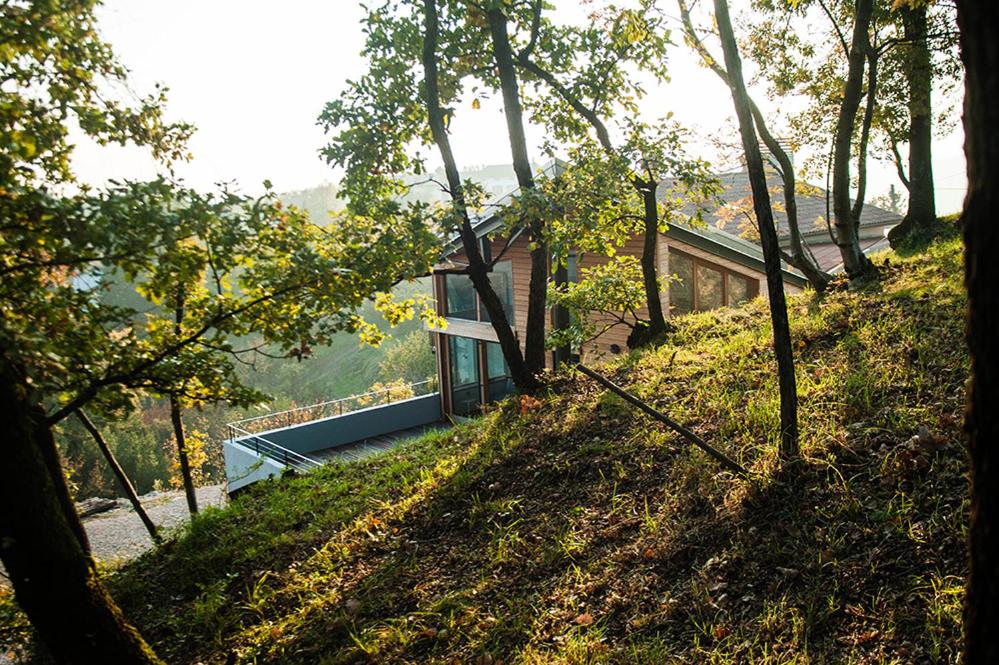 Apartment Oton Reya view 2