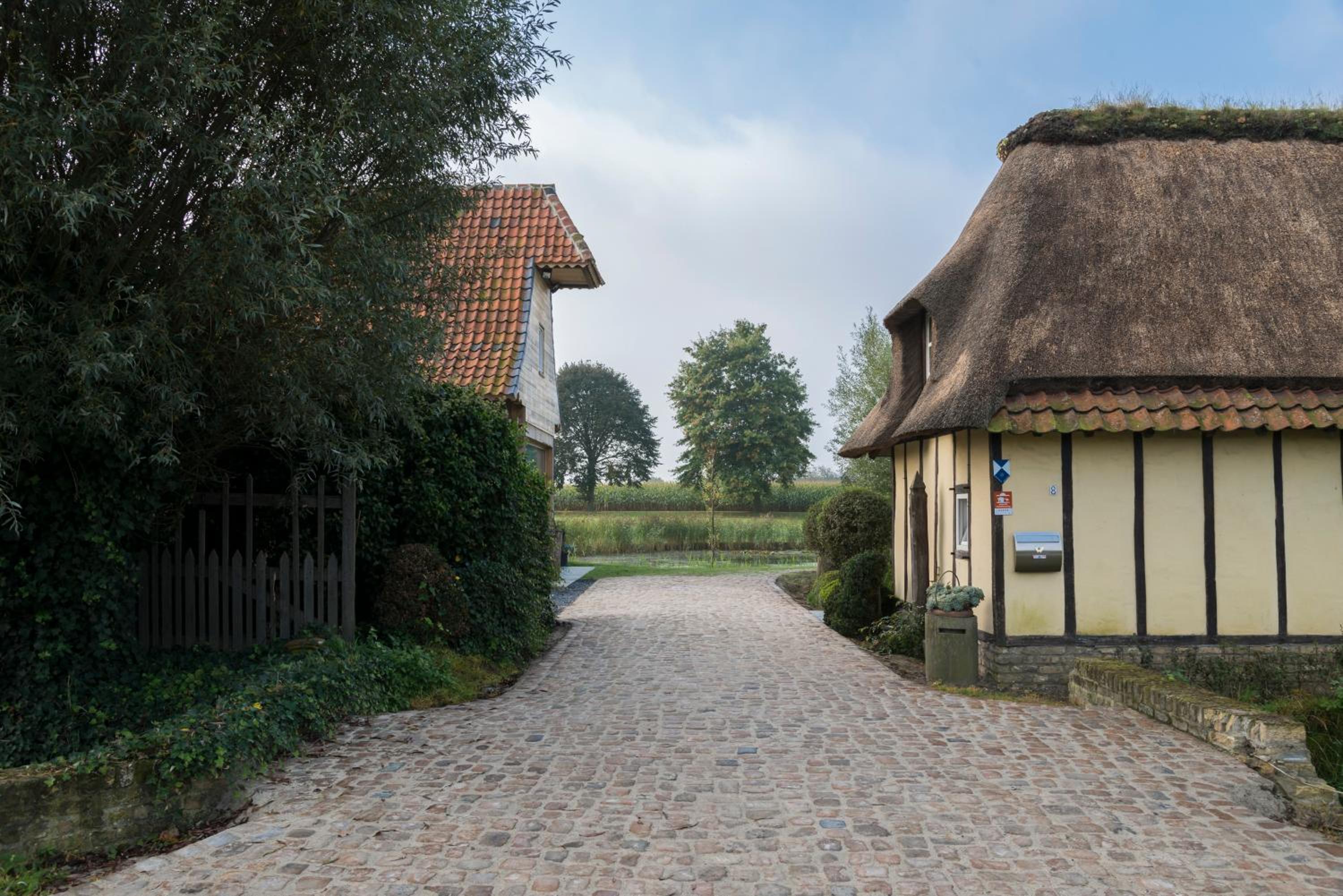 Sint-Coryn