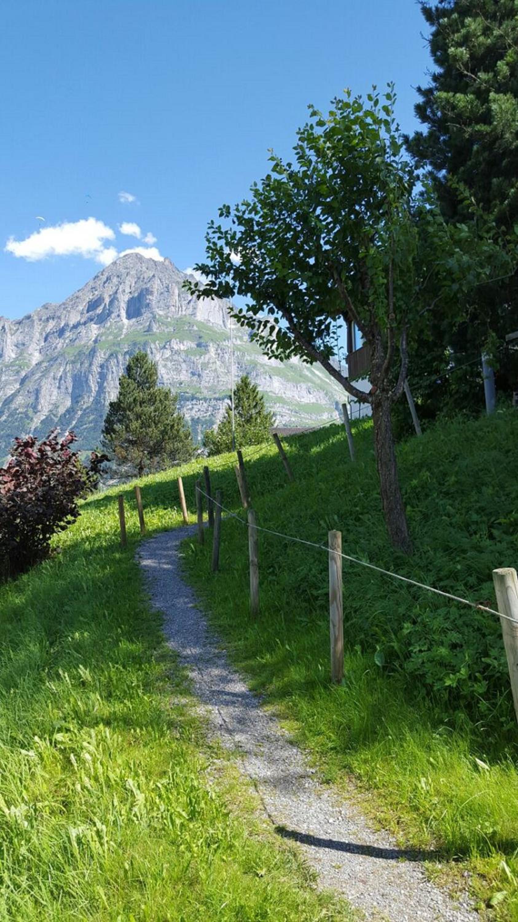 Chalet Wärgistal