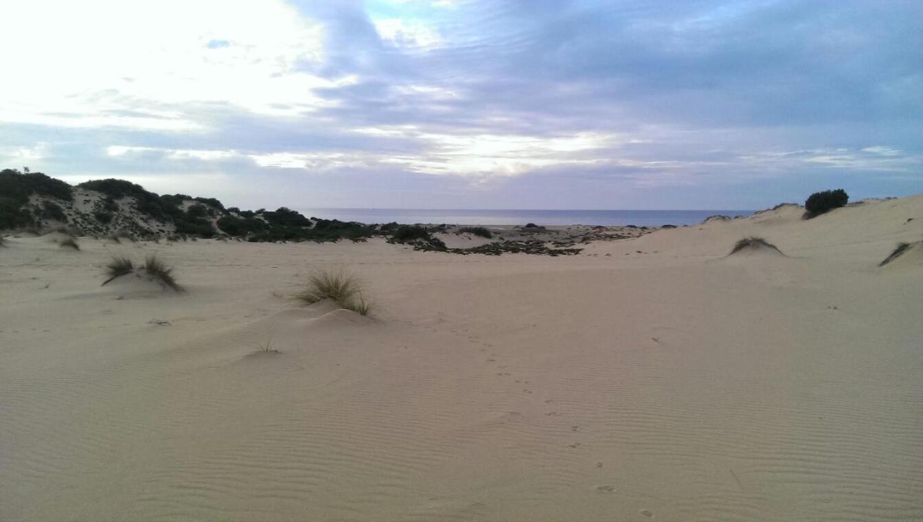 Photo 44