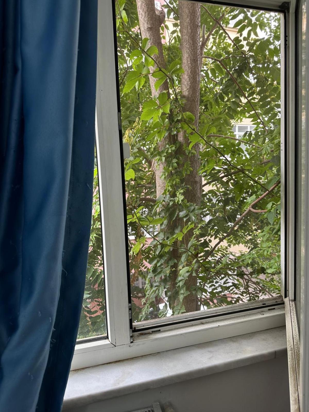 Cozy Room in Heart of Istanbul