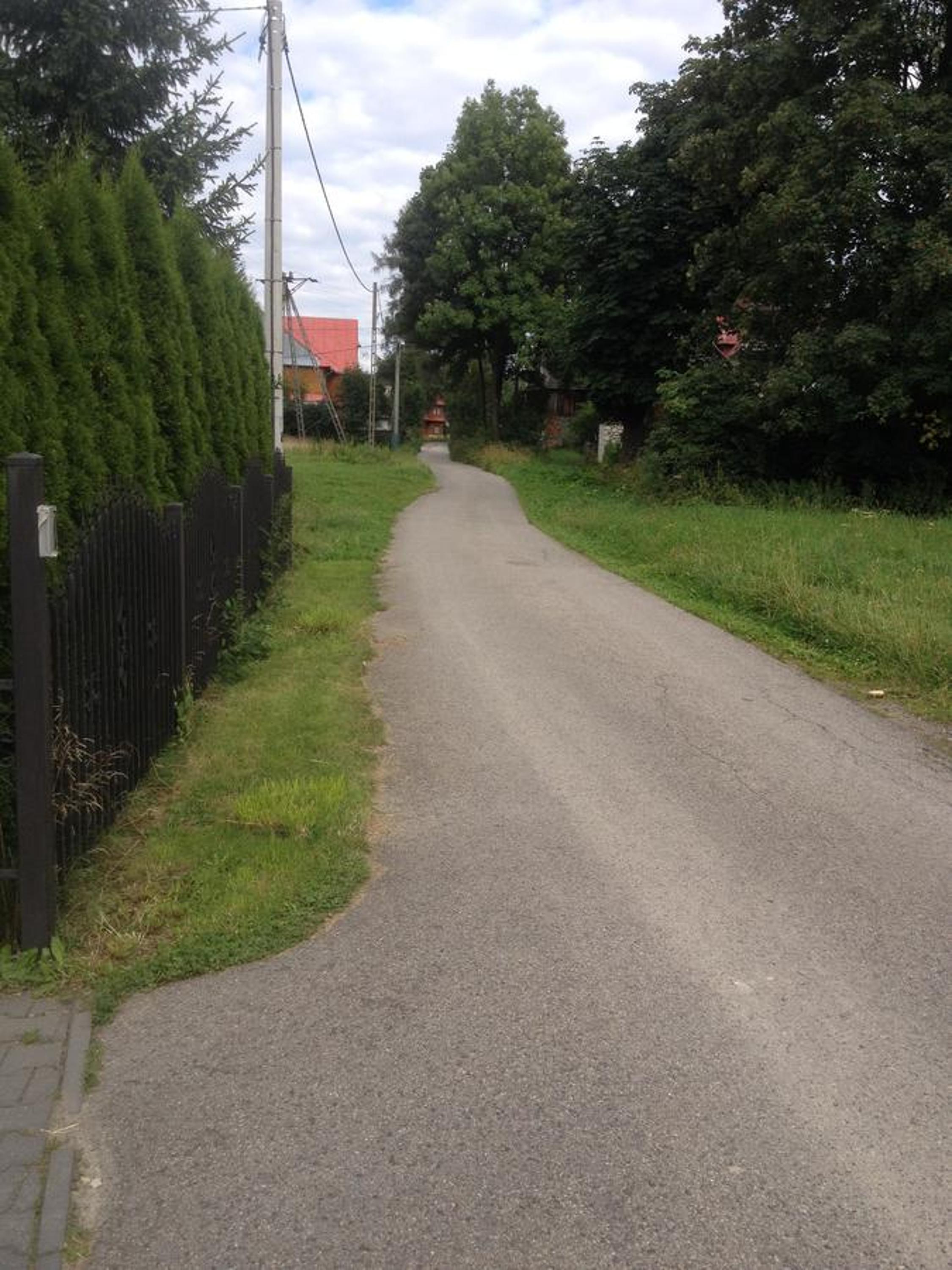 Photo 37