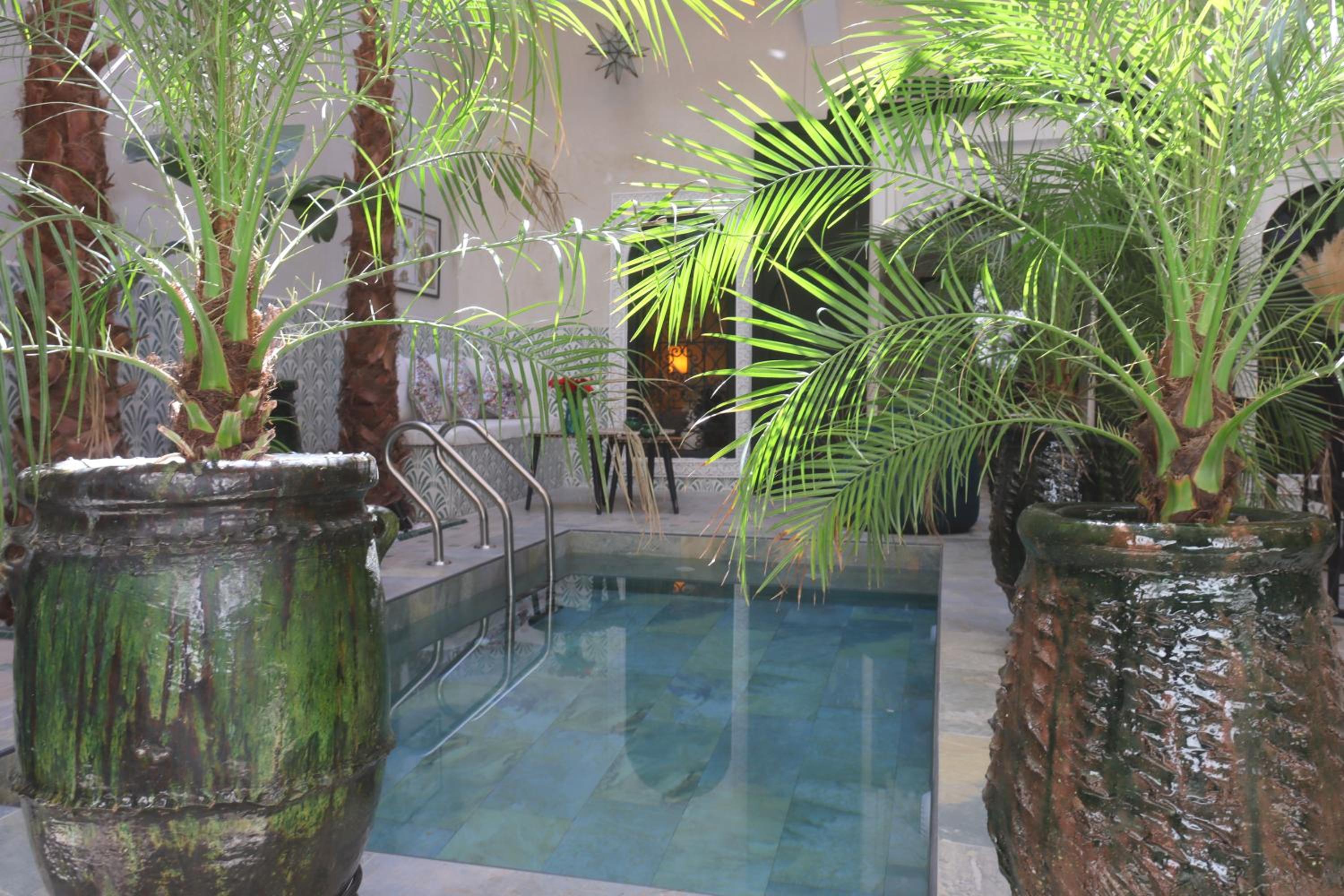 riad NAMLA