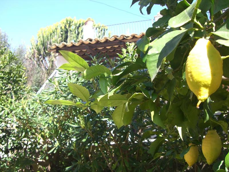 Photo 30