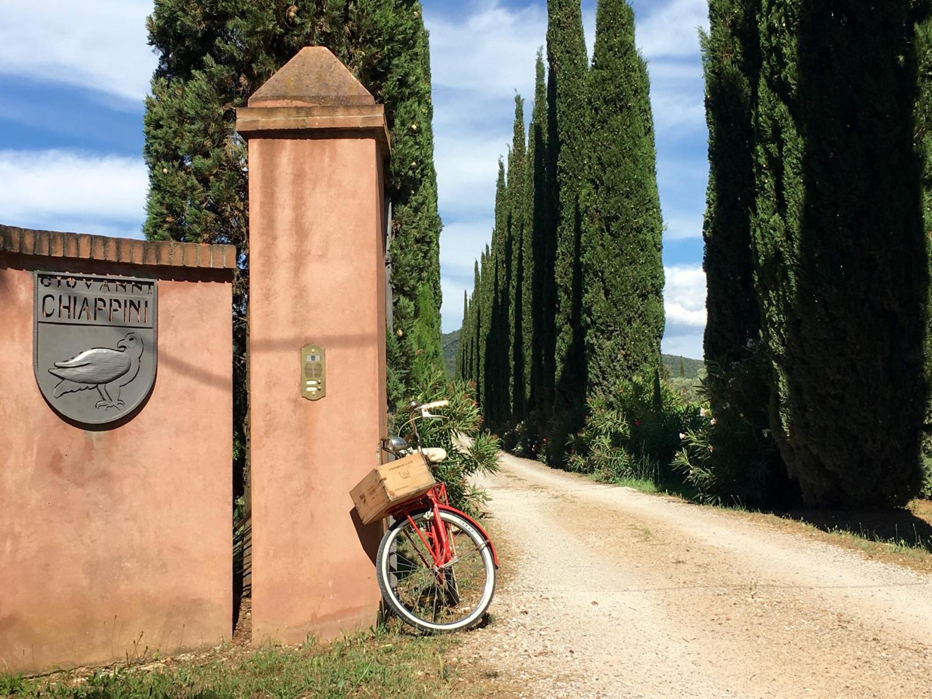 Agriturismo Tra gli Ulivi, Chiappini Winery view 3