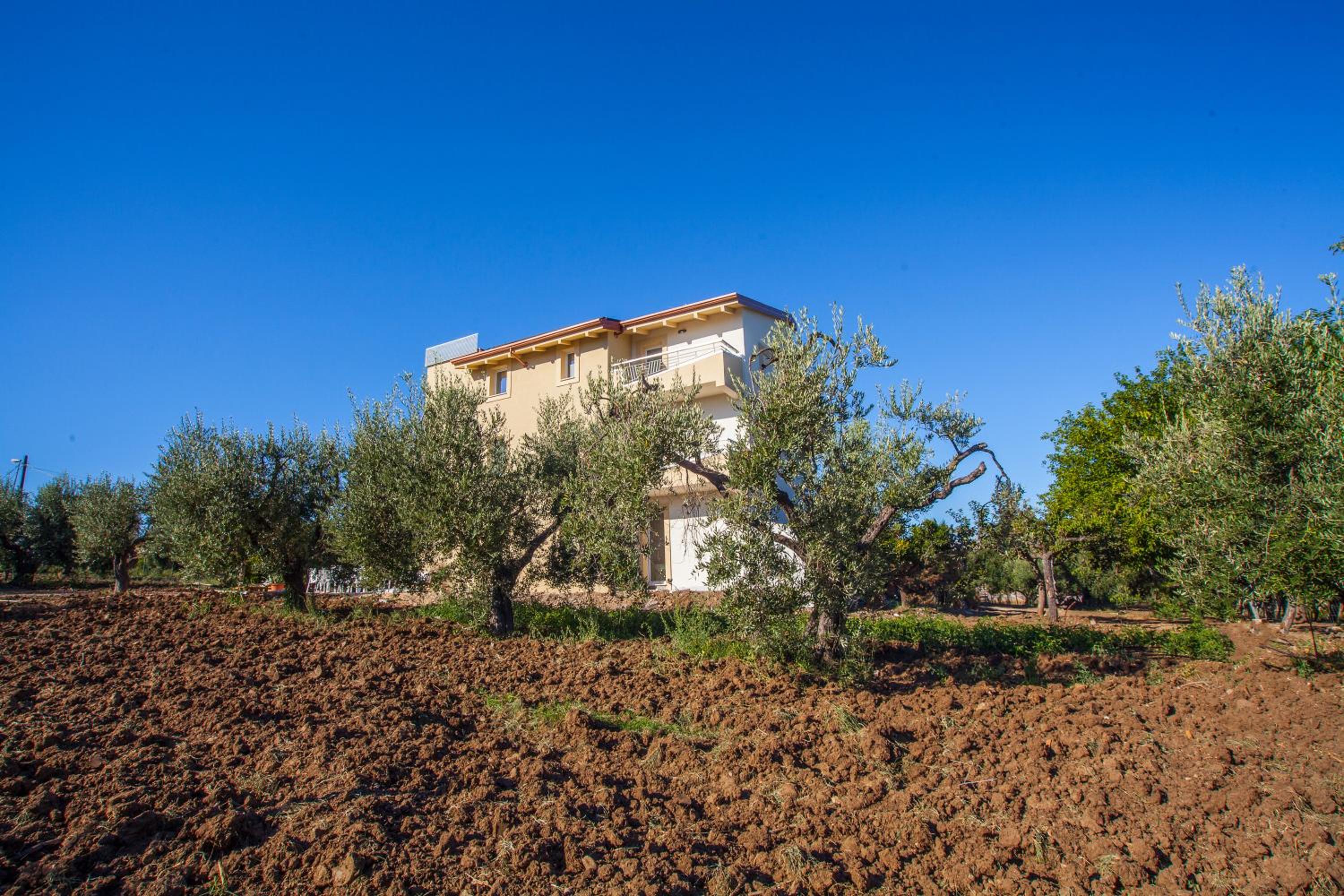 Il Gallo Con Gli Stivali