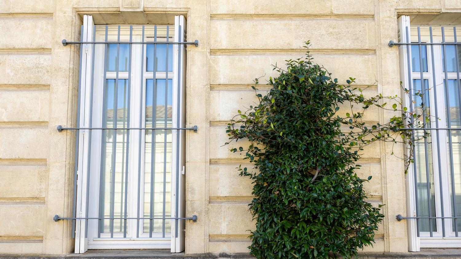 La Halte Montaigne, photo 38