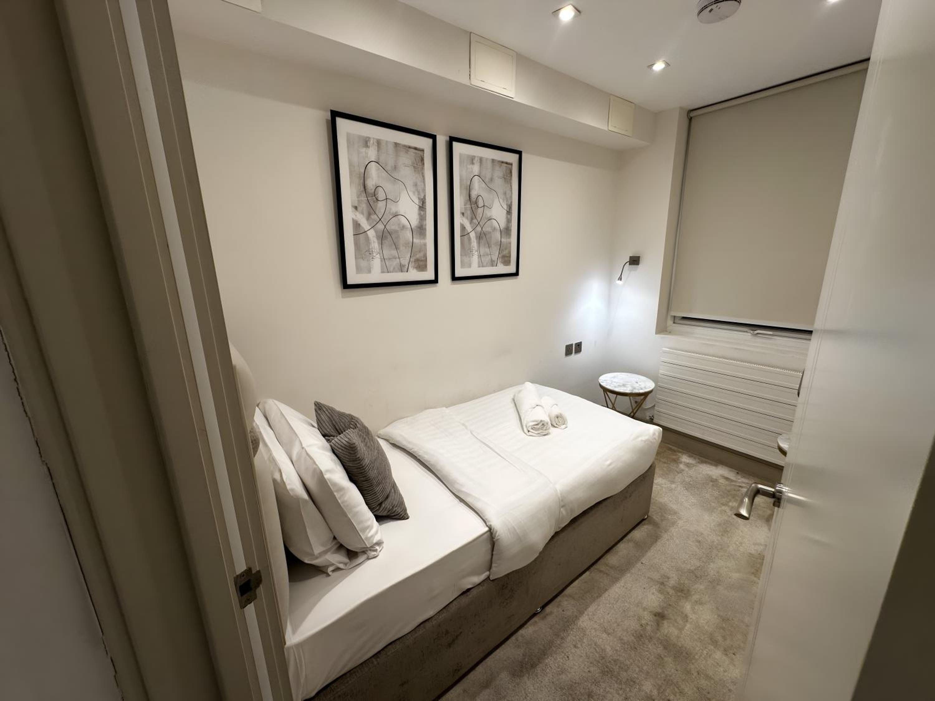 Wembley Park Cosy Flats 5mins to station!