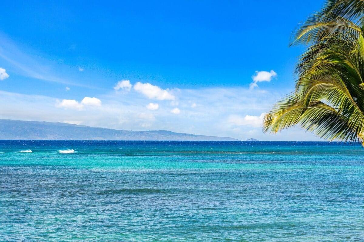 Kahana Reef 203 · KR 203 Direct Ocean View 1BD in Kahana Maui