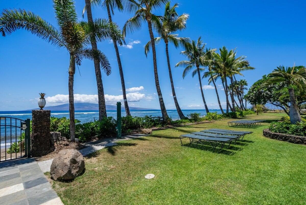 Lahaina Shores 507 · LS 507 West Maui Studio with Stunning Ocean