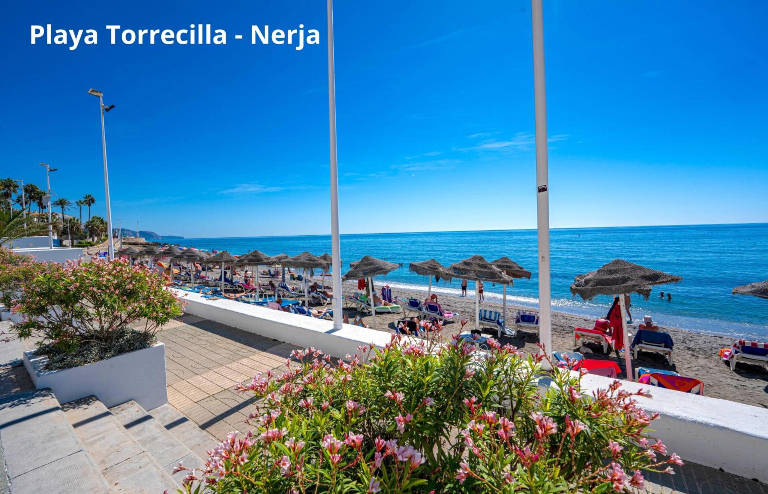 Torrecilla Urban Beach - Modern Apartment with Rooftop Pool