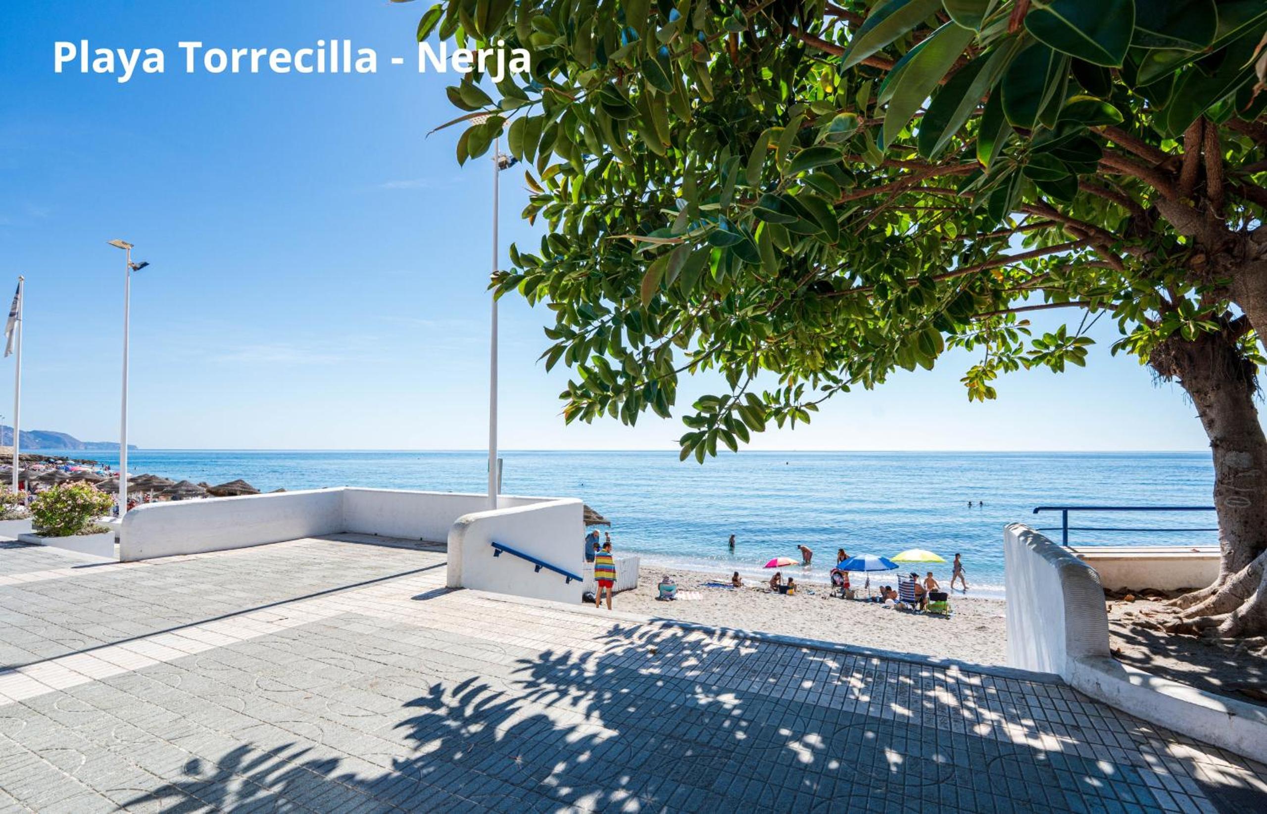 Torrecilla Urban Beach - Modern Apartment with Rooftop Pool