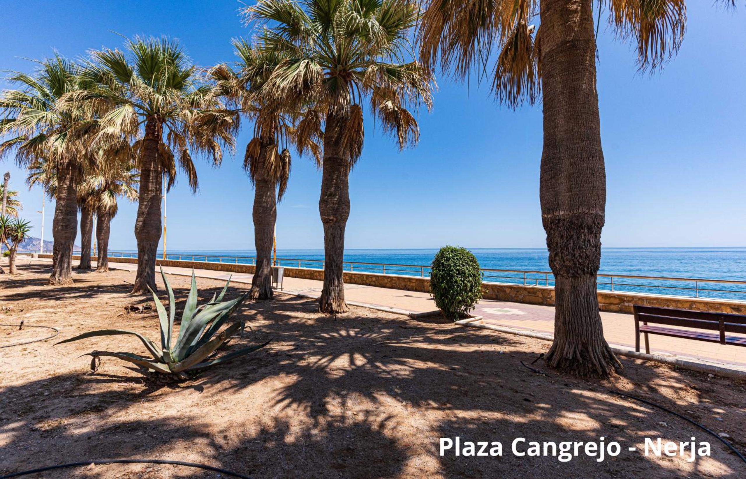 Torrecilla Urban Beach - Modern Apartment with Rooftop Pool